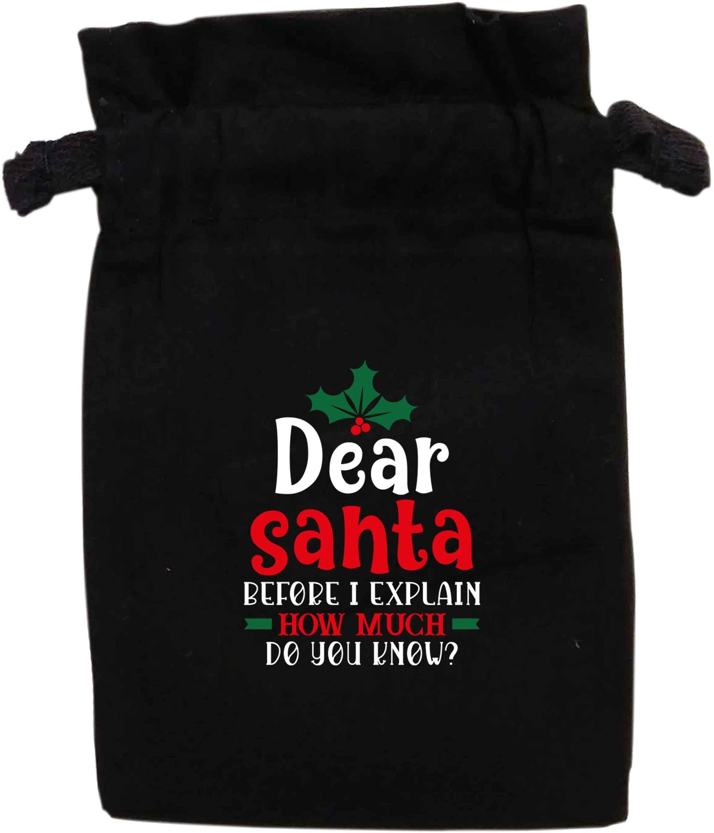 Santa before I explain how much do you know? | XS - L | Pouch / Drawstring bag / Sack | Organic Cotton | Bulk discounts available!