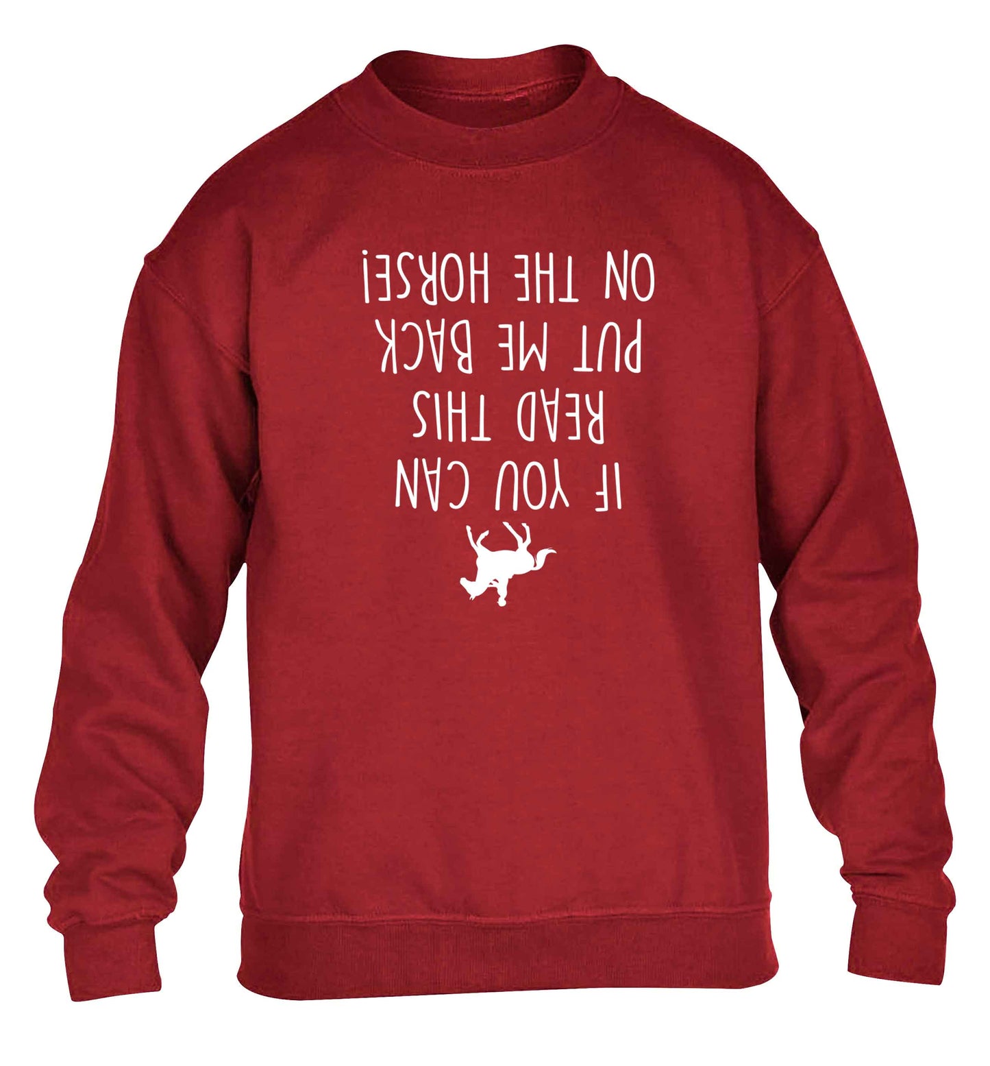 If you can read this put me back on the horse children's grey sweater 12-13 Years