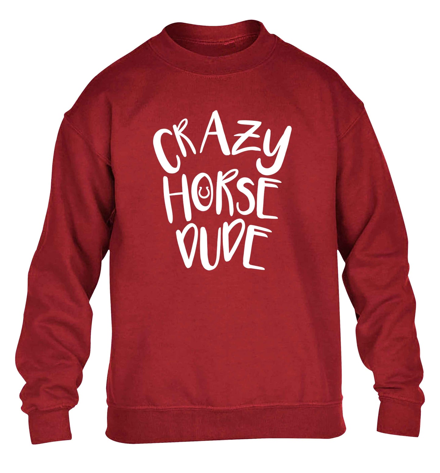 Crazy horse dude children's grey sweater 12-13 Years