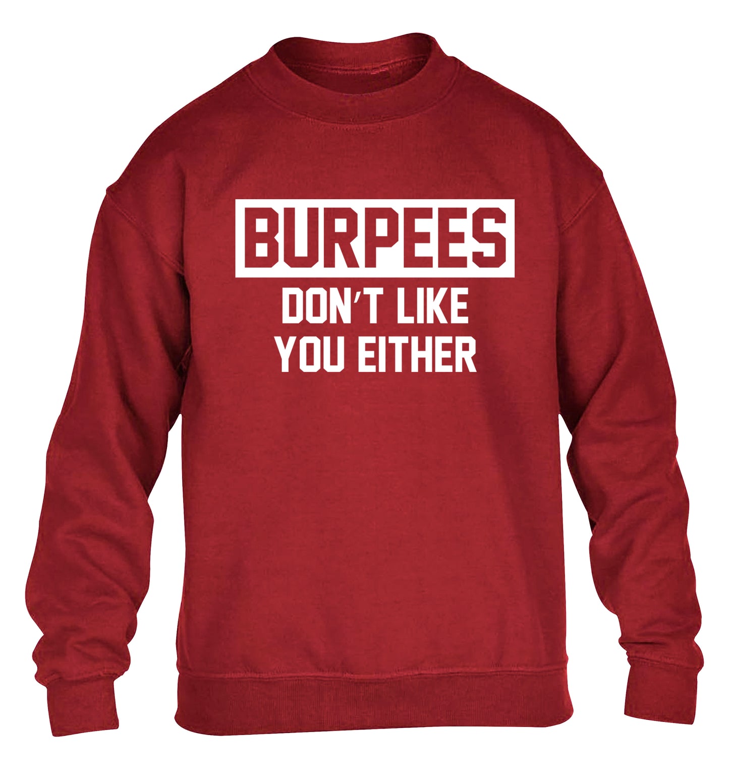 Burpees don't like you either children's grey sweater 12-14 Years