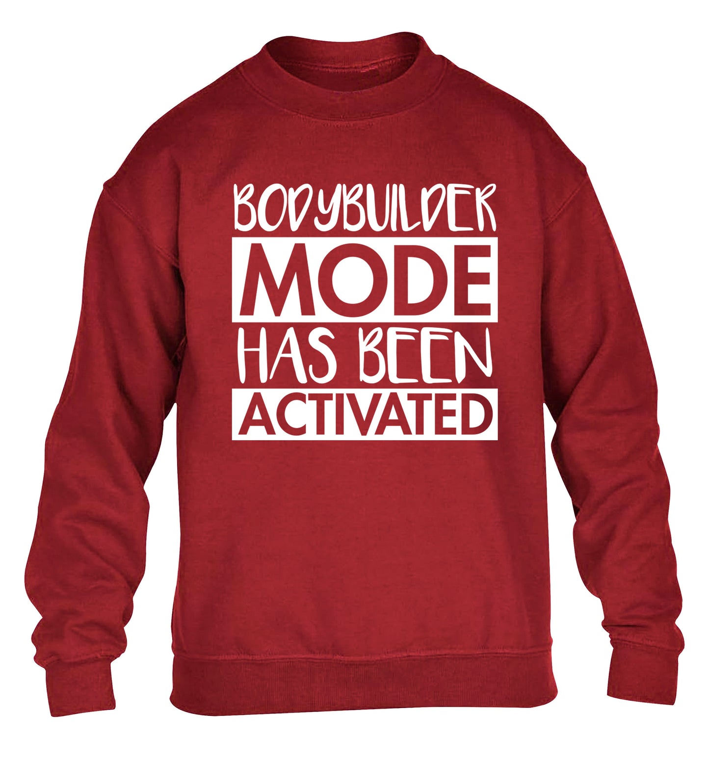 Bodybuilder mode activated children's grey sweater 12-14 Years