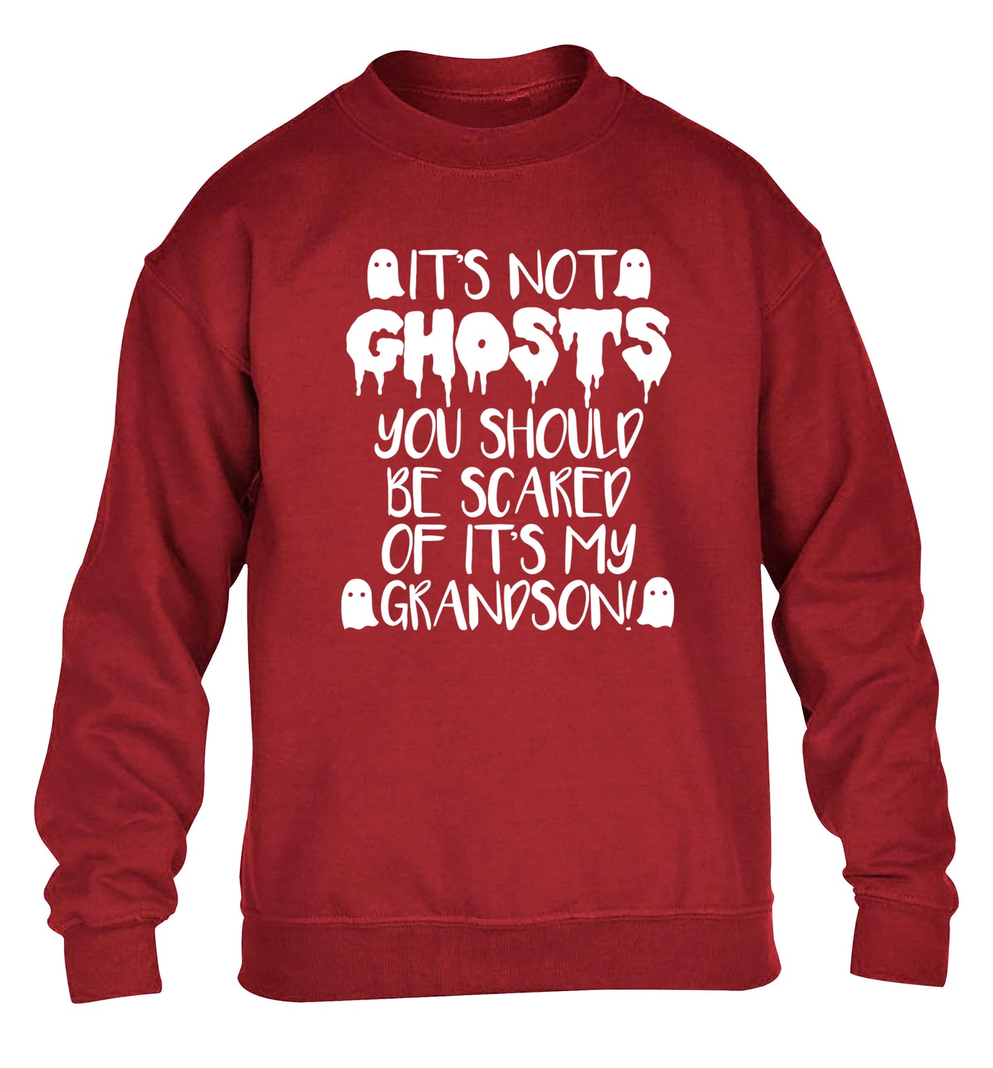 It's not ghosts you should be scared of it's my grandson! children's grey sweater 12-14 Years