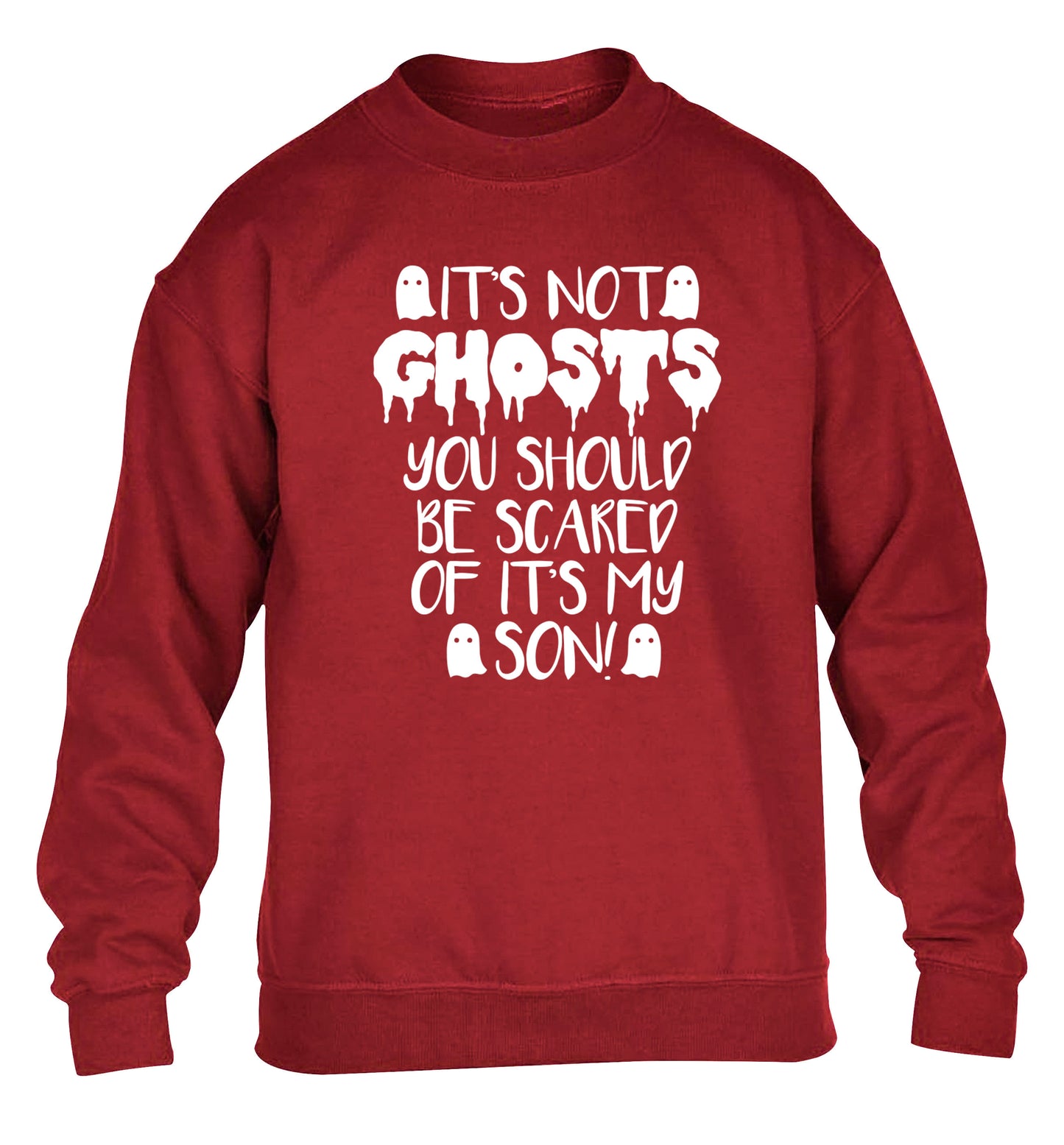 It's not ghosts you should be scared of it's my son! children's grey sweater 12-14 Years