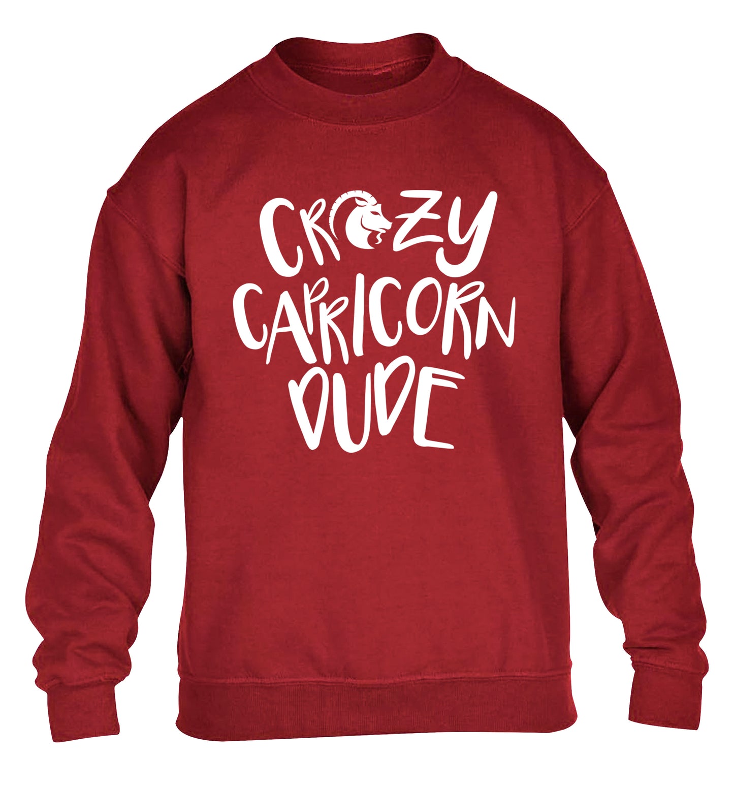 Crazy capricorn dude children's grey sweater 12-13 Years