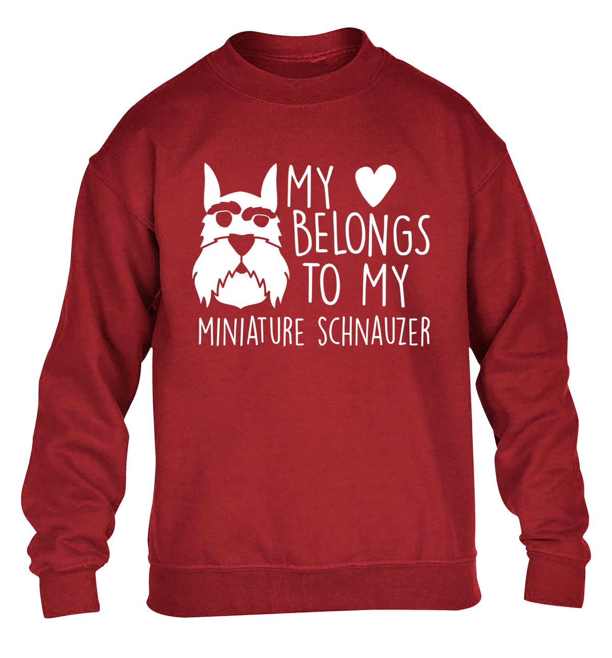 My heart belongs to my miniature schnauzer children's grey sweater 12-13 Years