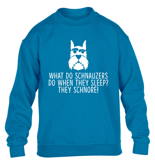 What do schnauzers do when they sleep? Schnore! children's blue sweater 12-13 Years