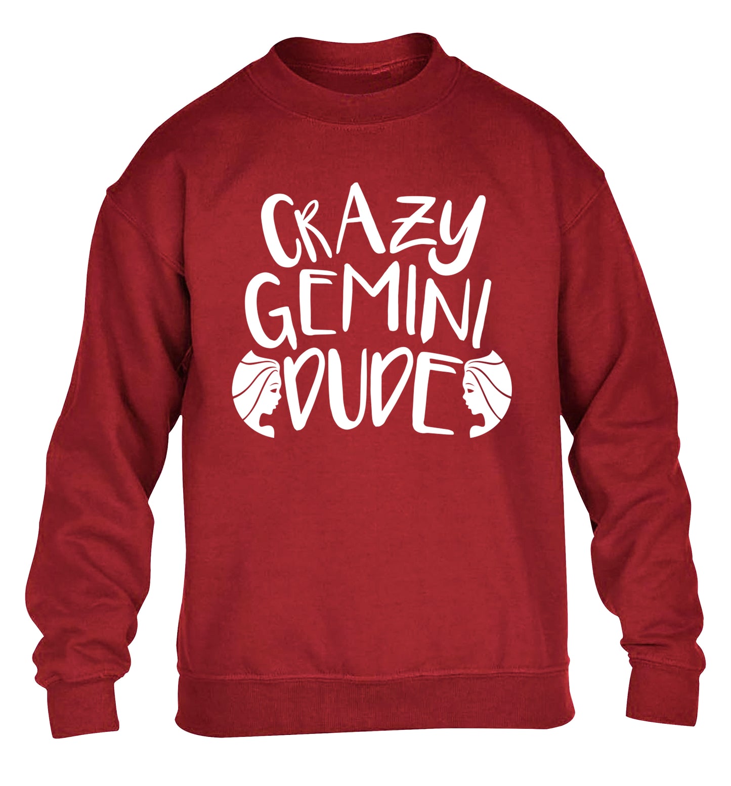 Crazy Gemini dude children's grey sweater 12-13 Years