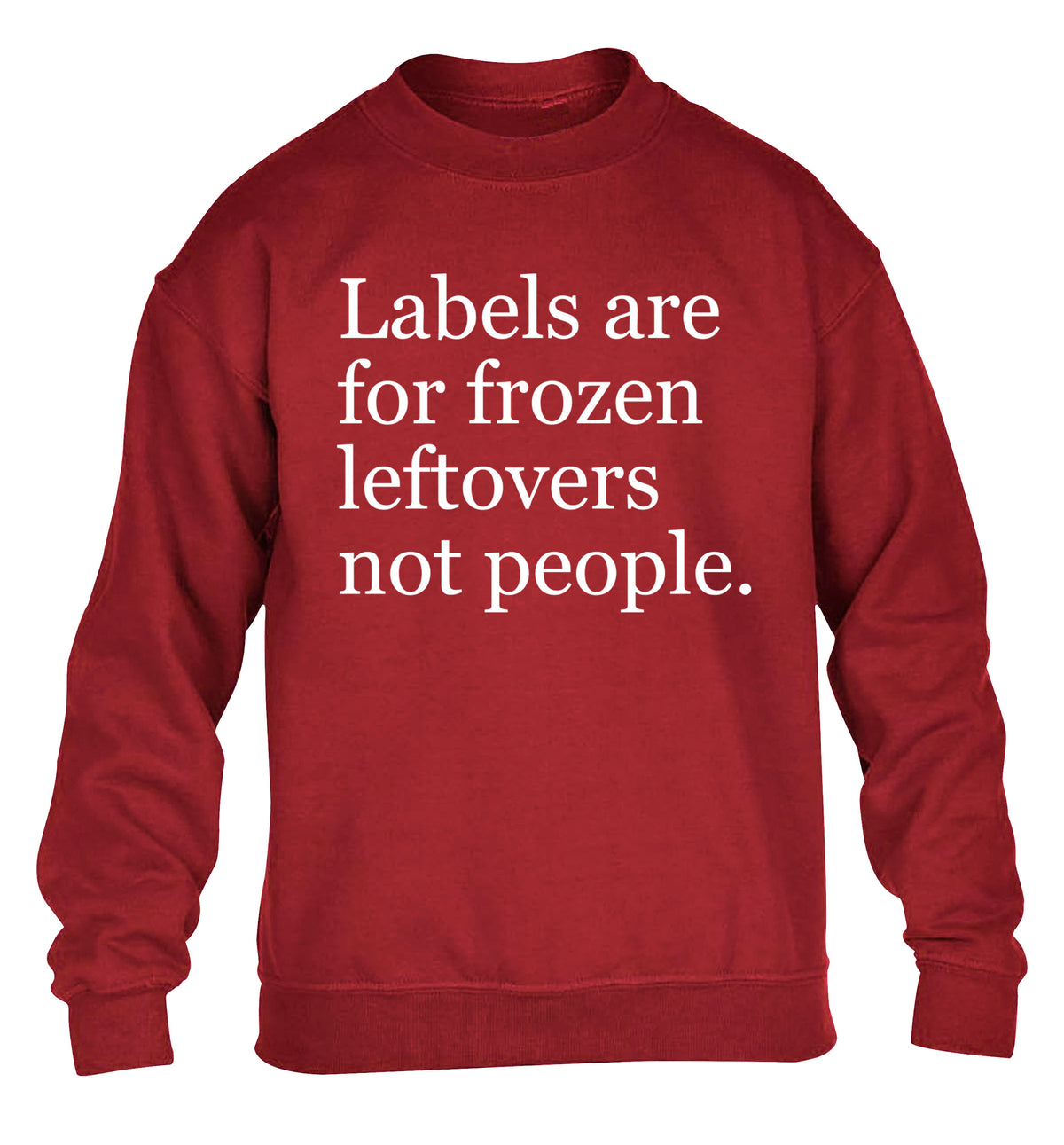 Labels are for frozen leftovers not people. children's grey sweater 12-13 Years