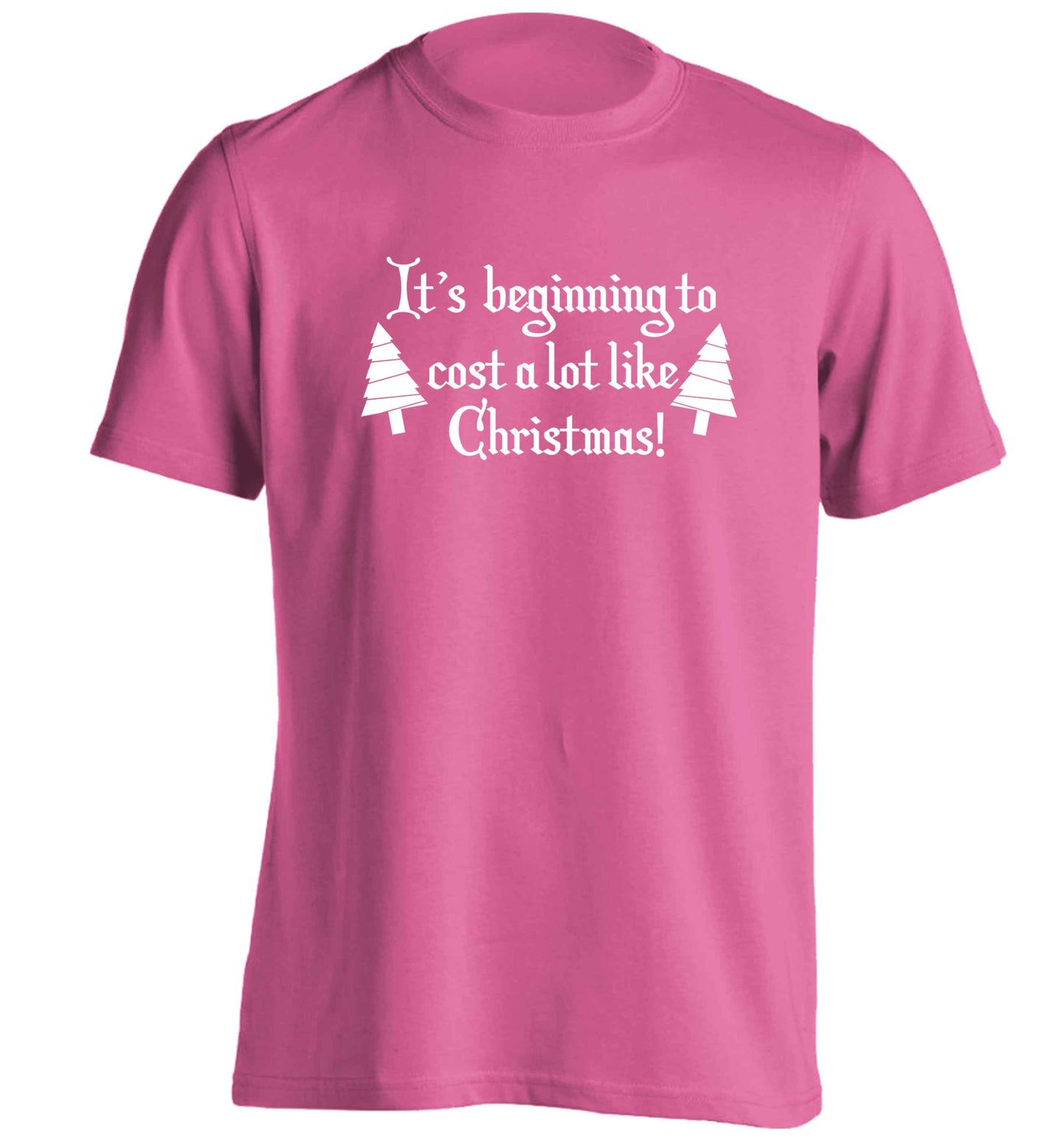 It's beginning to cost a lot like Christmas adults unisex pink Tshirt 2XL