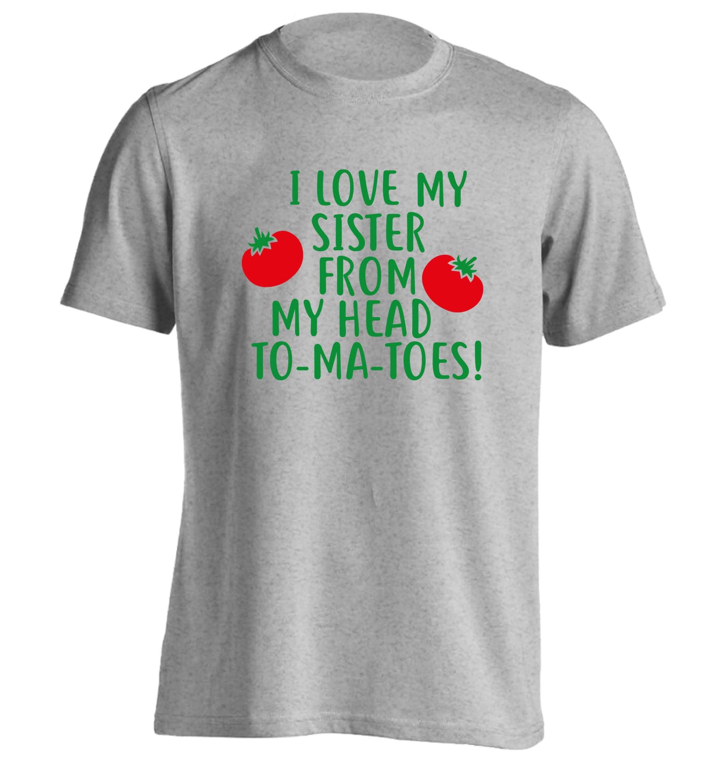 I love my sister from my head to-ma-toes adults unisex grey Tshirt 2XL