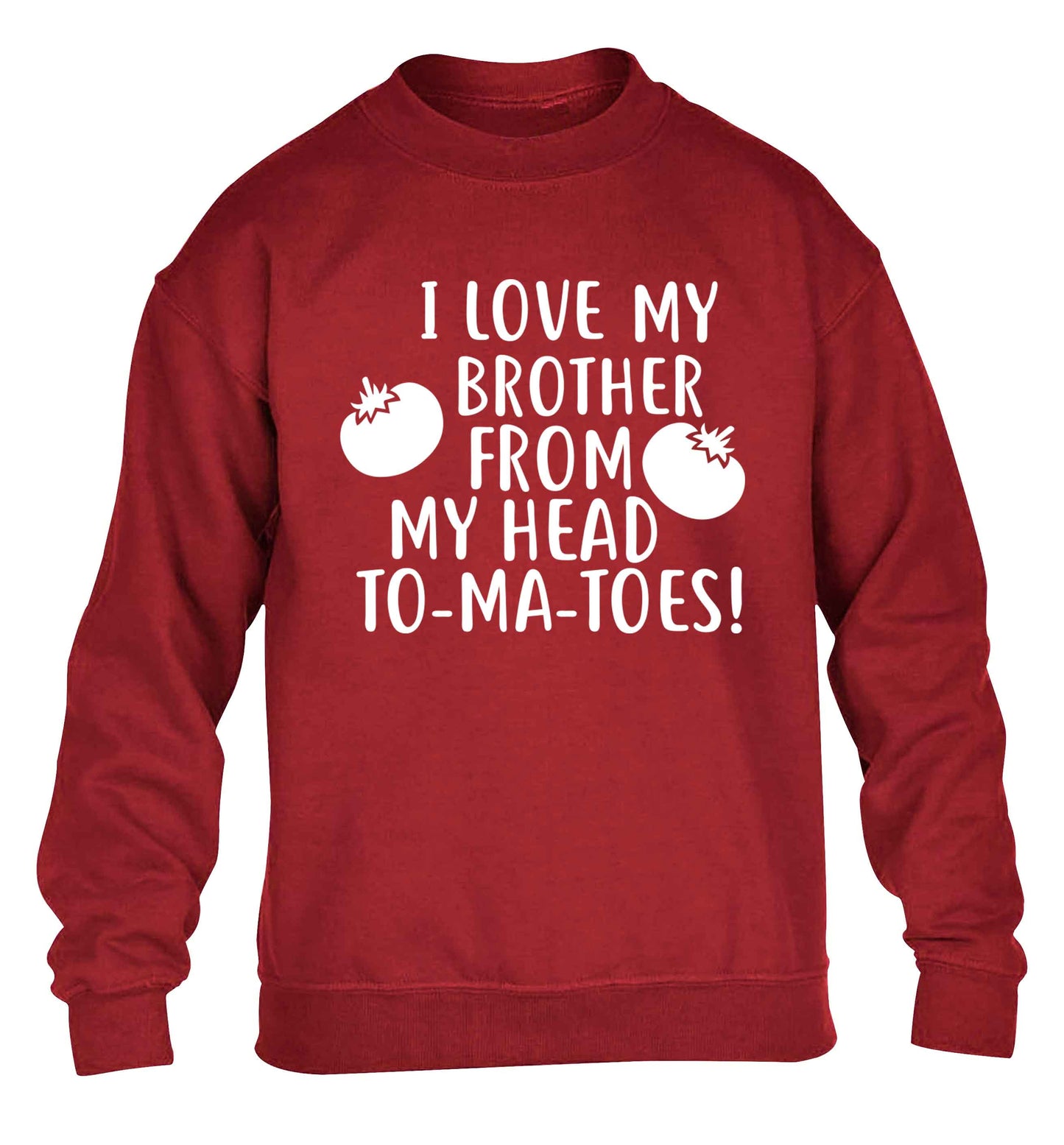 I love my brother from my head to-ma-toes children's grey sweater 12-13 Years