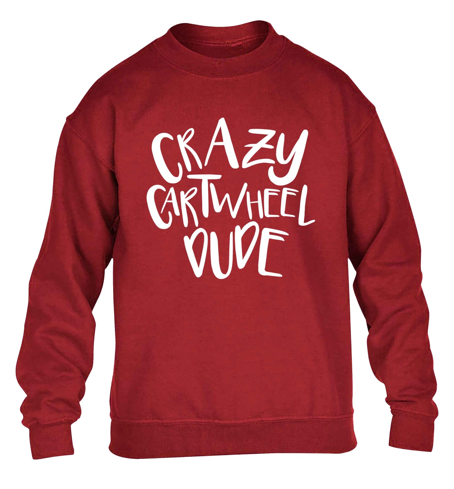 Crazy cartwheel dude children's grey sweater 12-13 Years