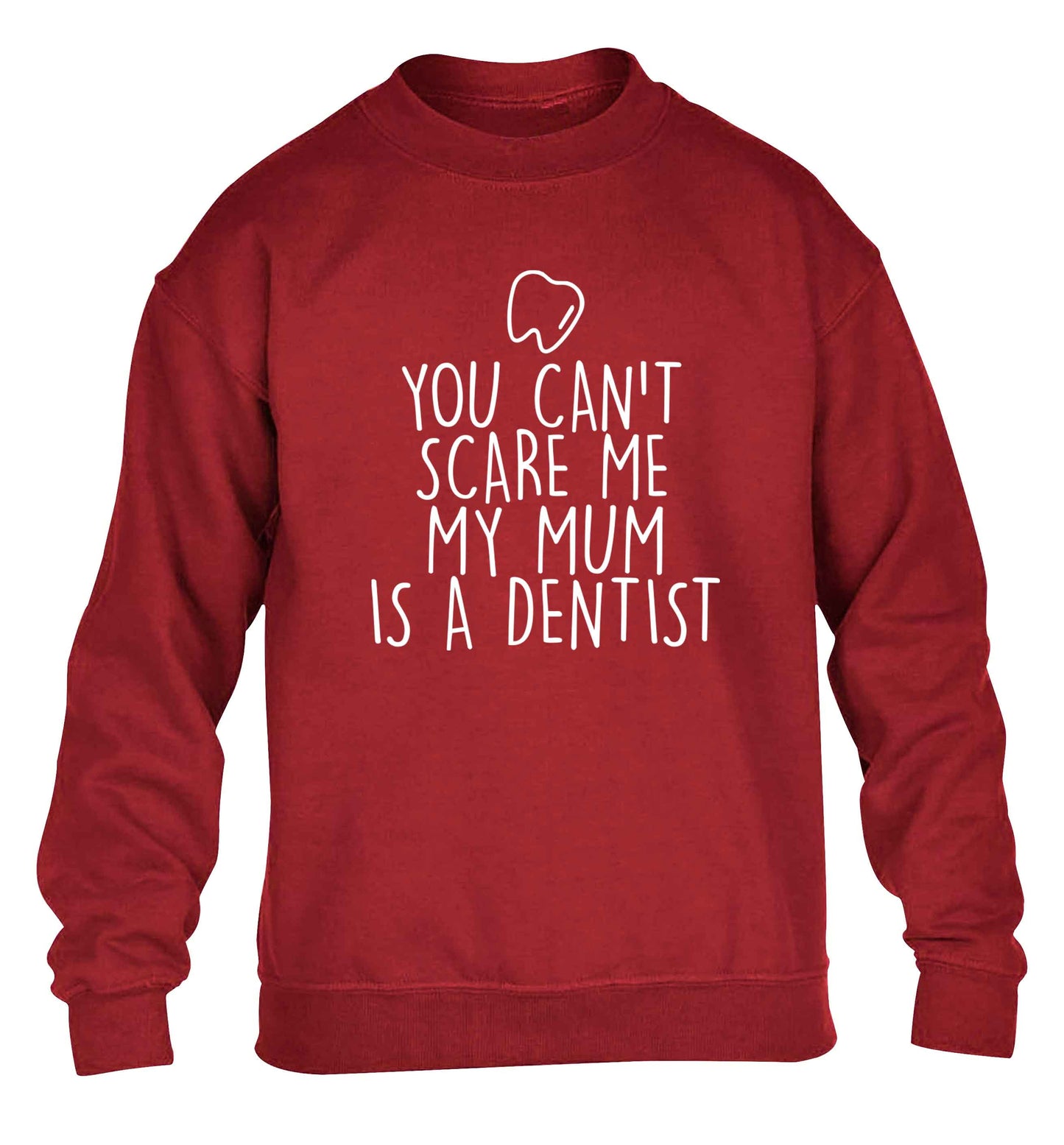 Minty Kisses Tooth Fairy (a) children's grey sweater 12-13 Years