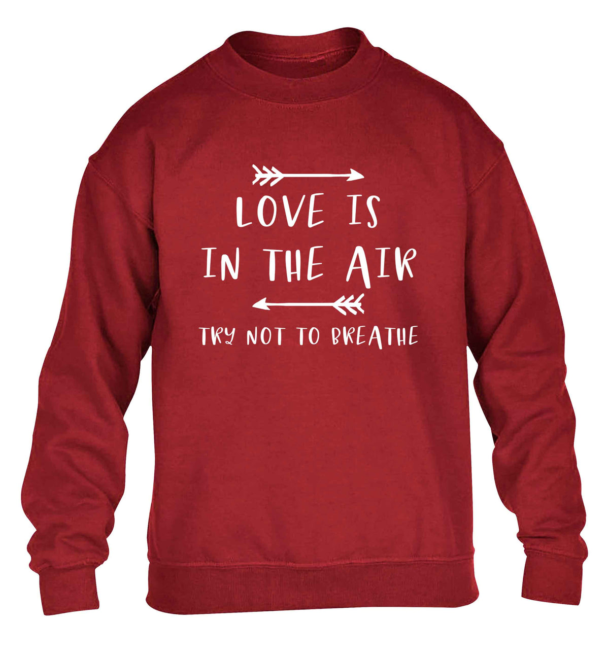 Love is in the air try not to breathe children's grey sweater 12-13 Years