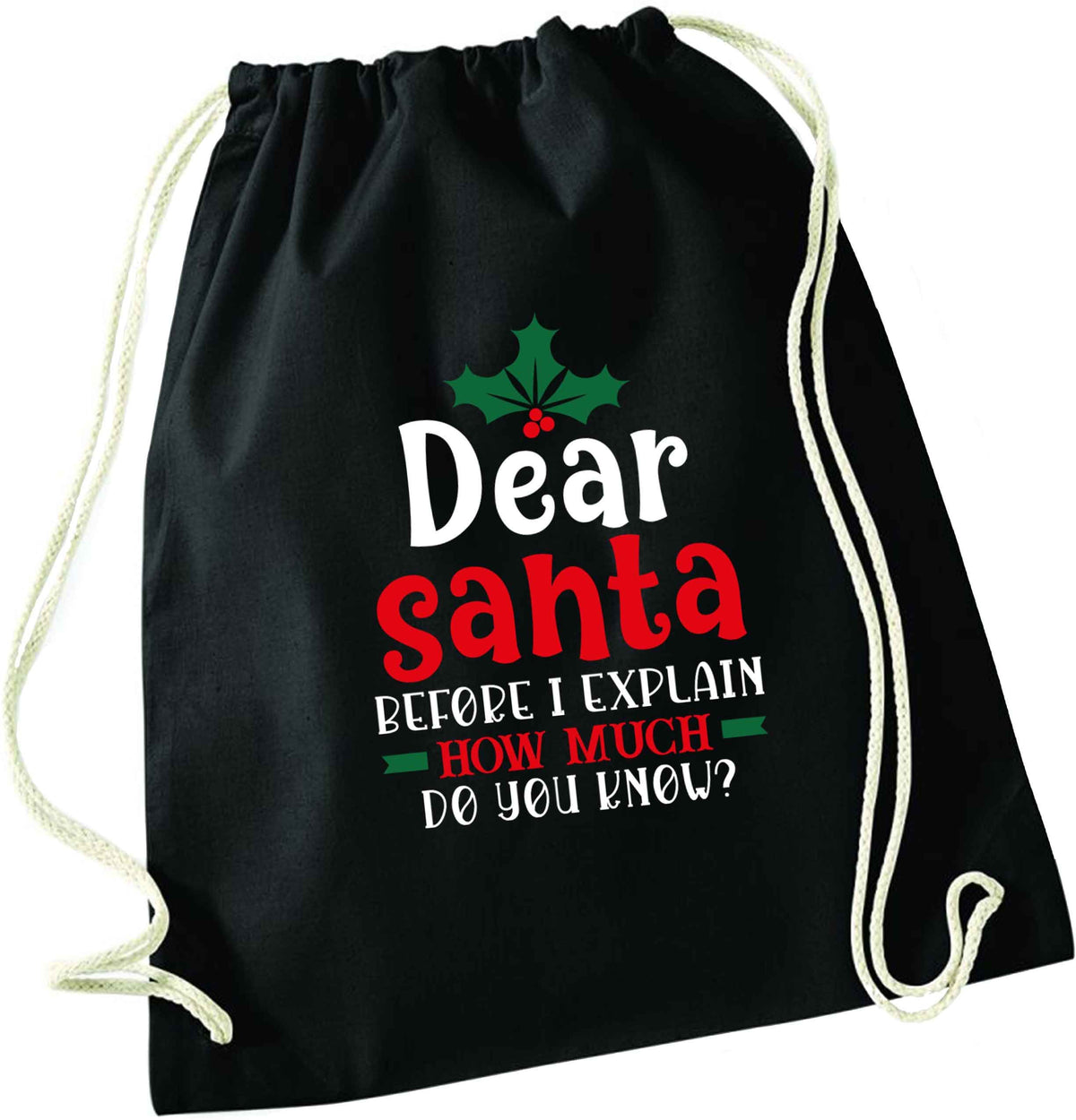 Santa before I explain how much do you know? black drawstring bag