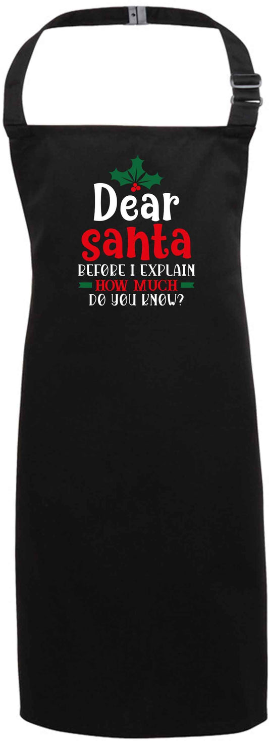 Santa before I explain how much do you know? black apron 7-10 years