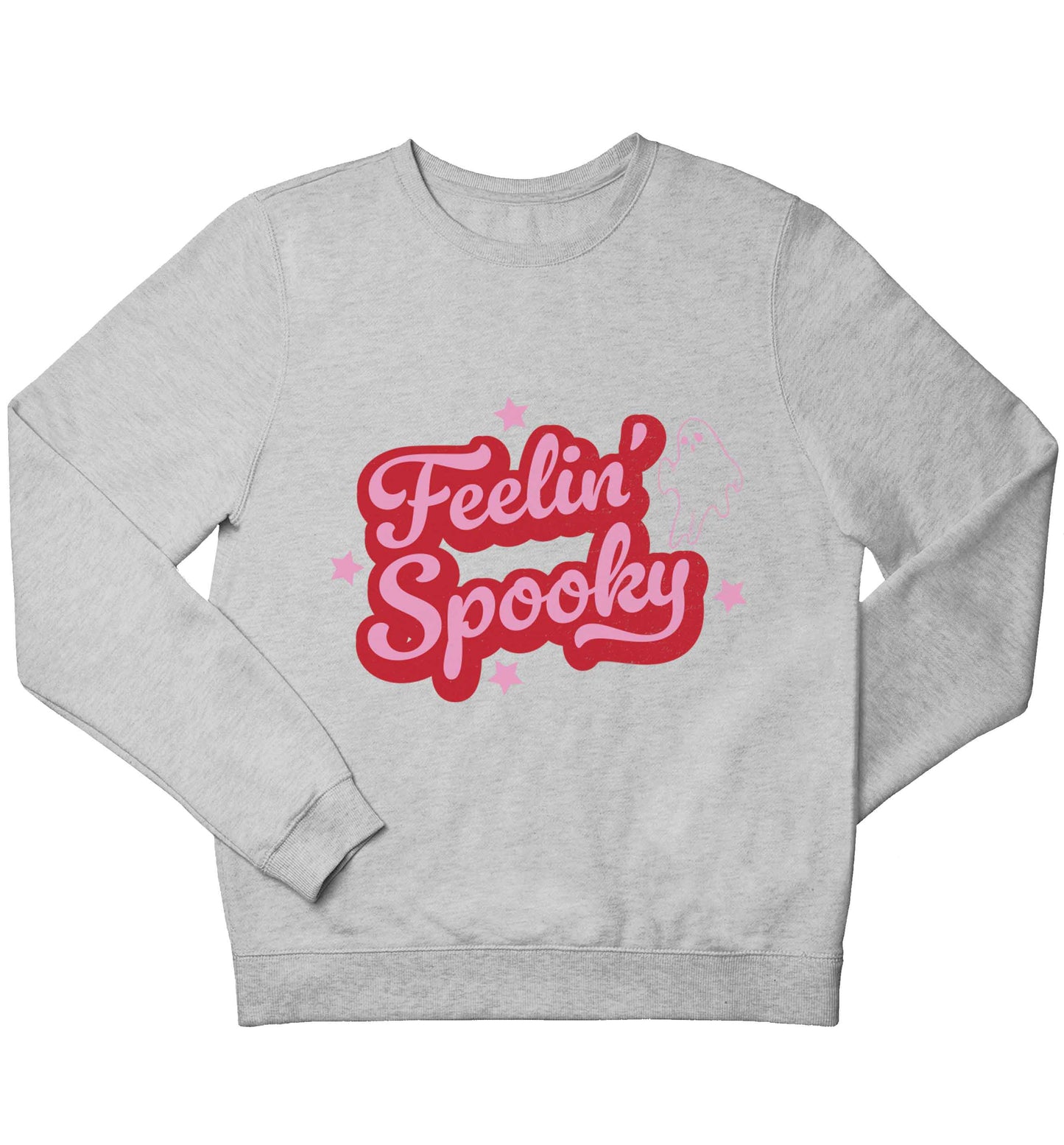 Feelin' Spooky Kit children's grey sweater 12-13 Years