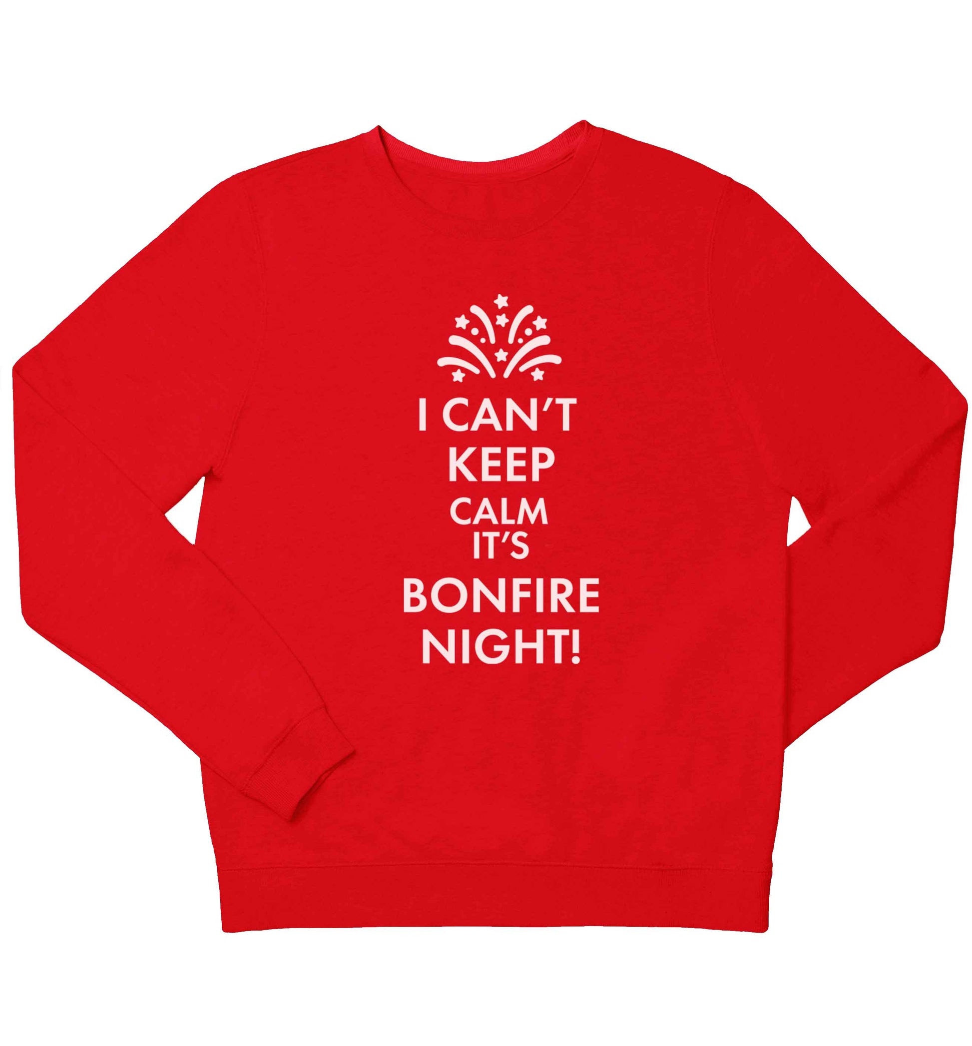I can't keep calm its bonfire night children's grey sweater 12-13 Years