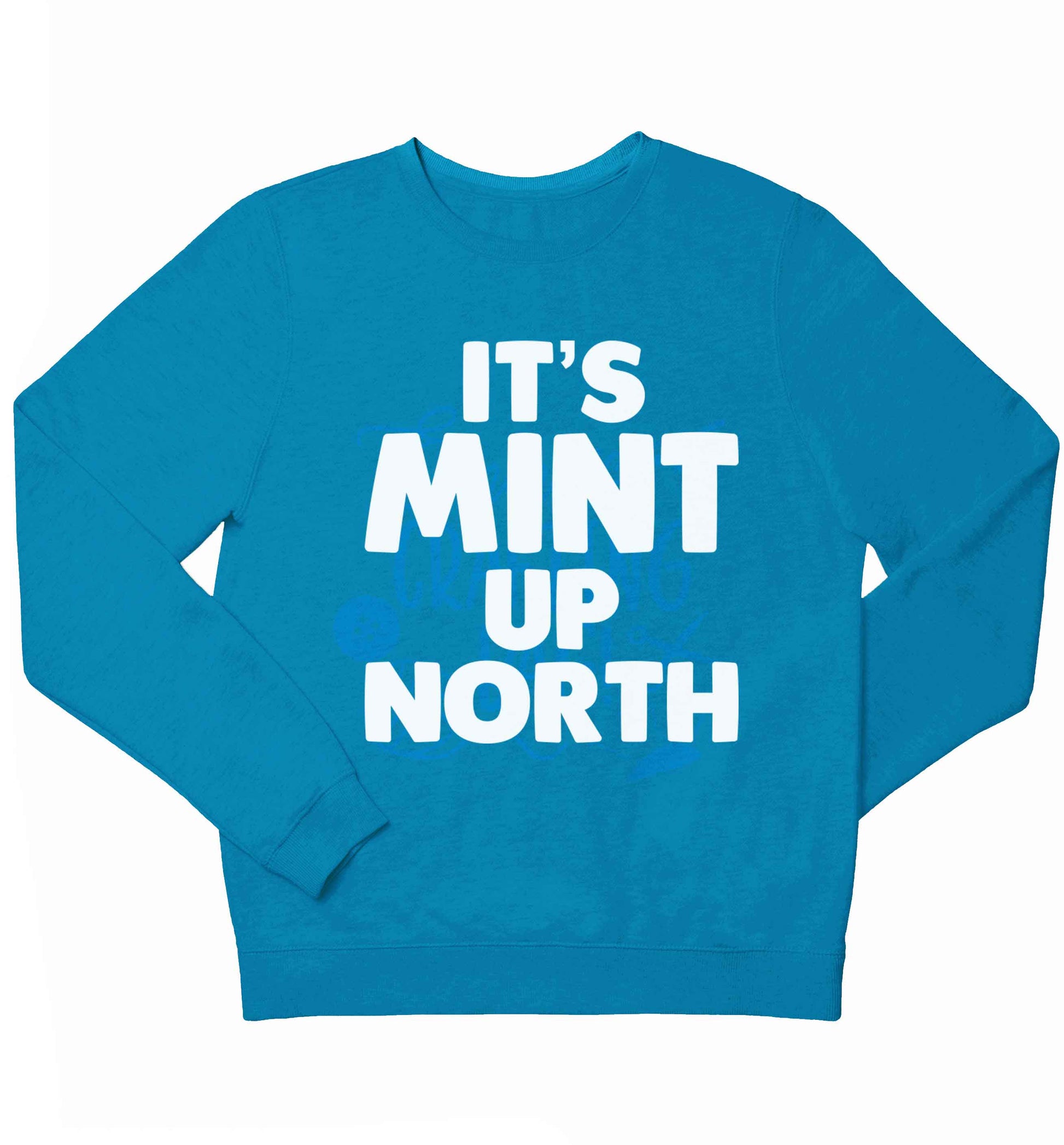 It's mint up North children's blue sweater 12-13 Years