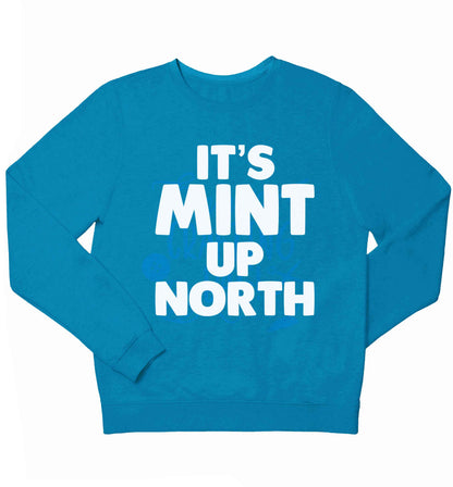 It's mint up North children's blue sweater 12-13 Years