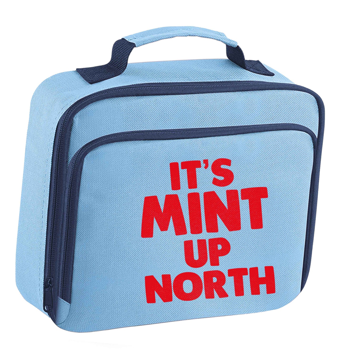 It's mint up North insulated blue lunch bag cooler