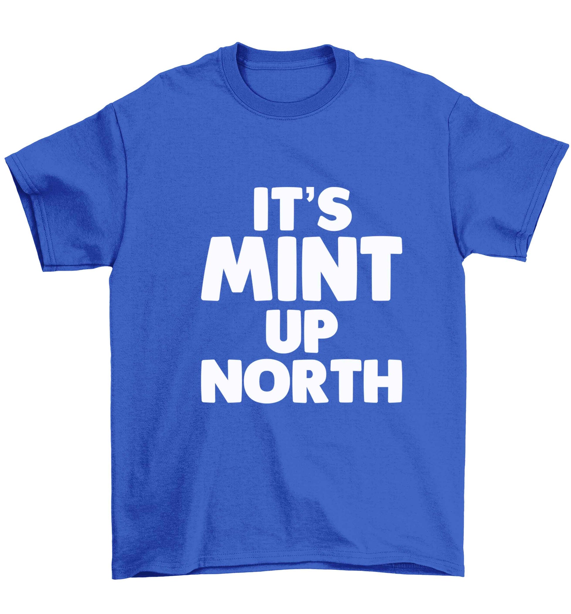 It's mint up North Children's blue Tshirt 12-13 Years