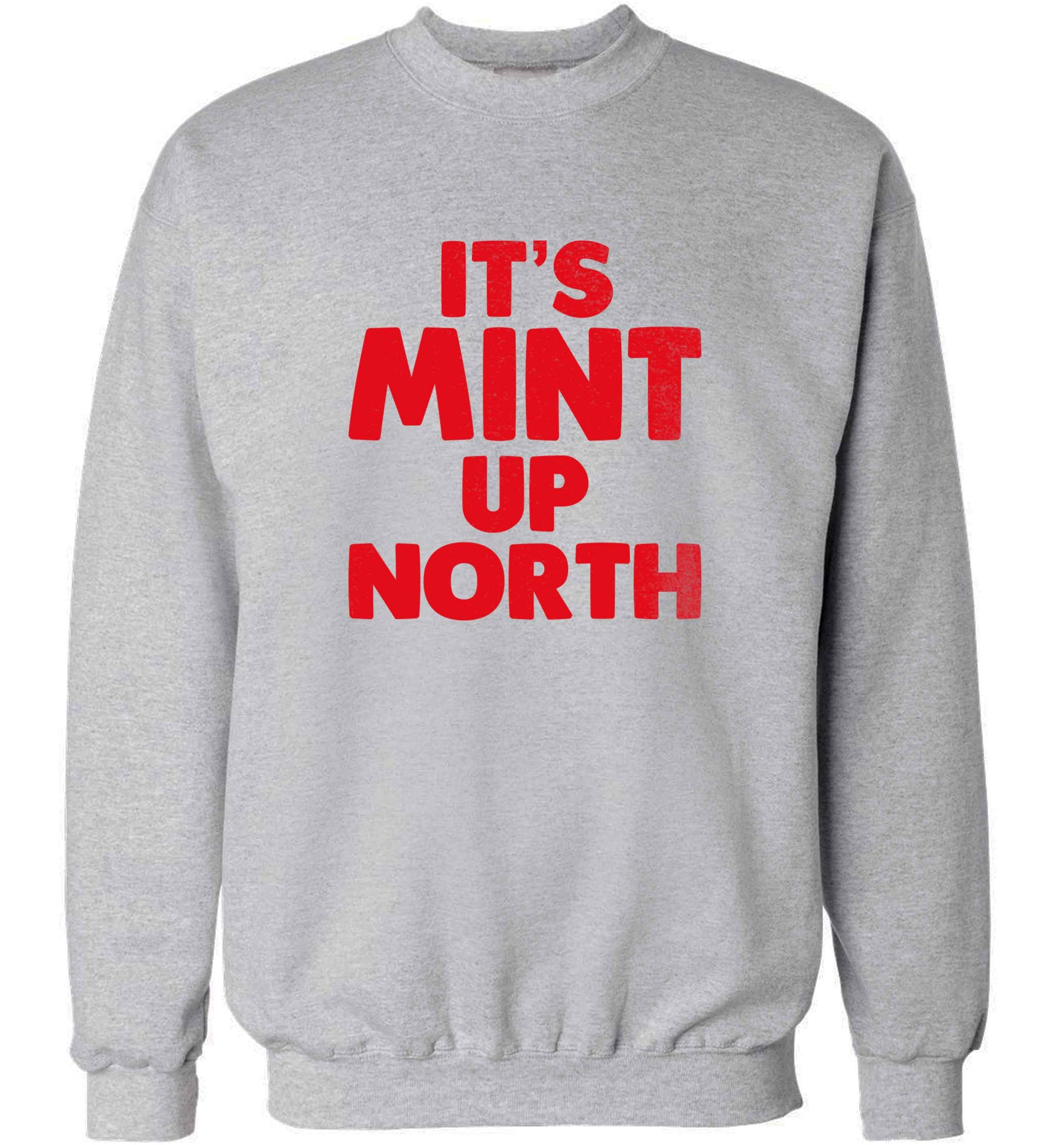 It's mint up North adult's unisex grey sweater 2XL
