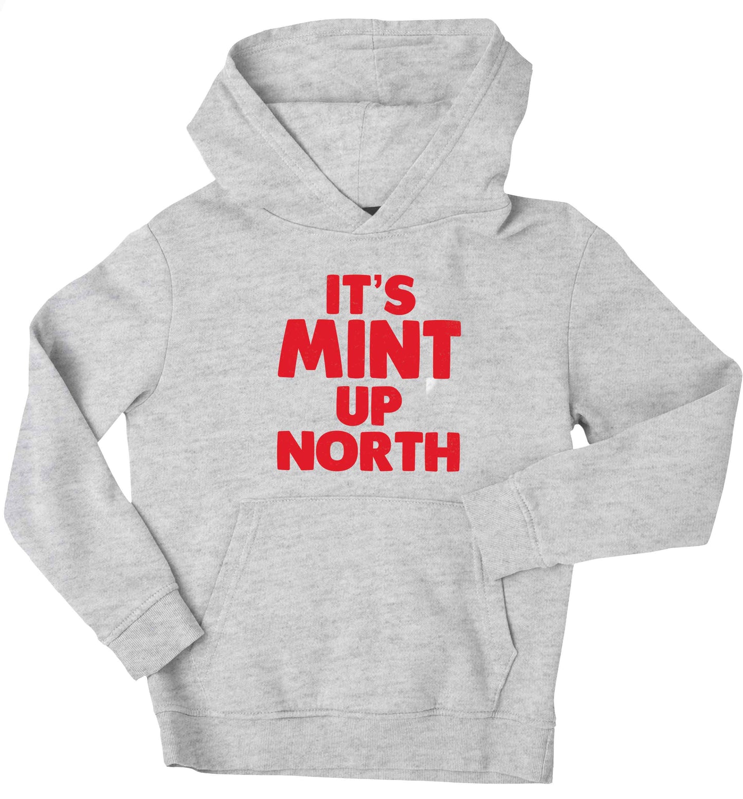 It's mint up North children's grey hoodie 12-13 Years