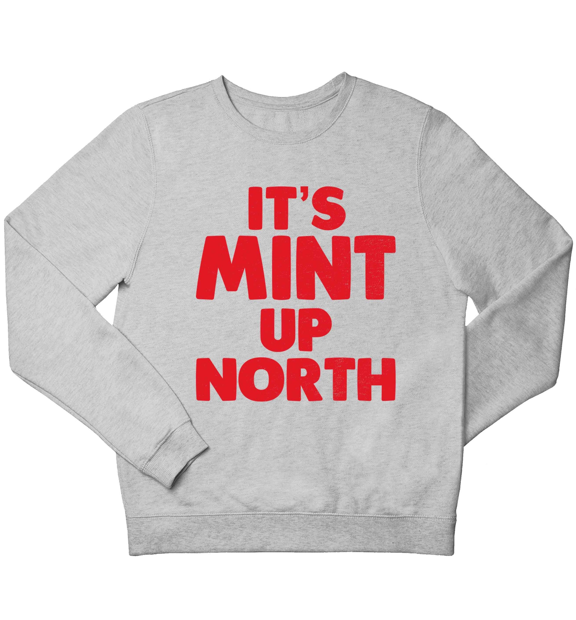 It's mint up North children's grey sweater 12-13 Years