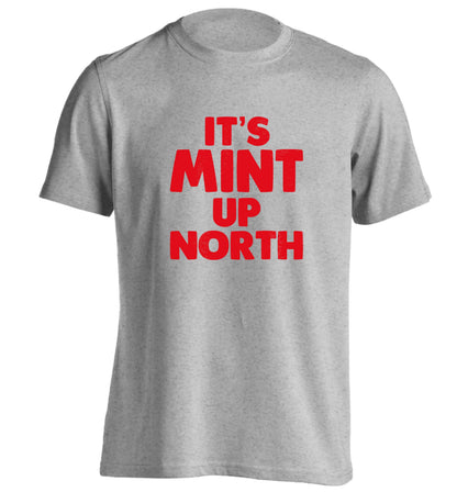 It's mint up North adults unisex grey Tshirt 2XL