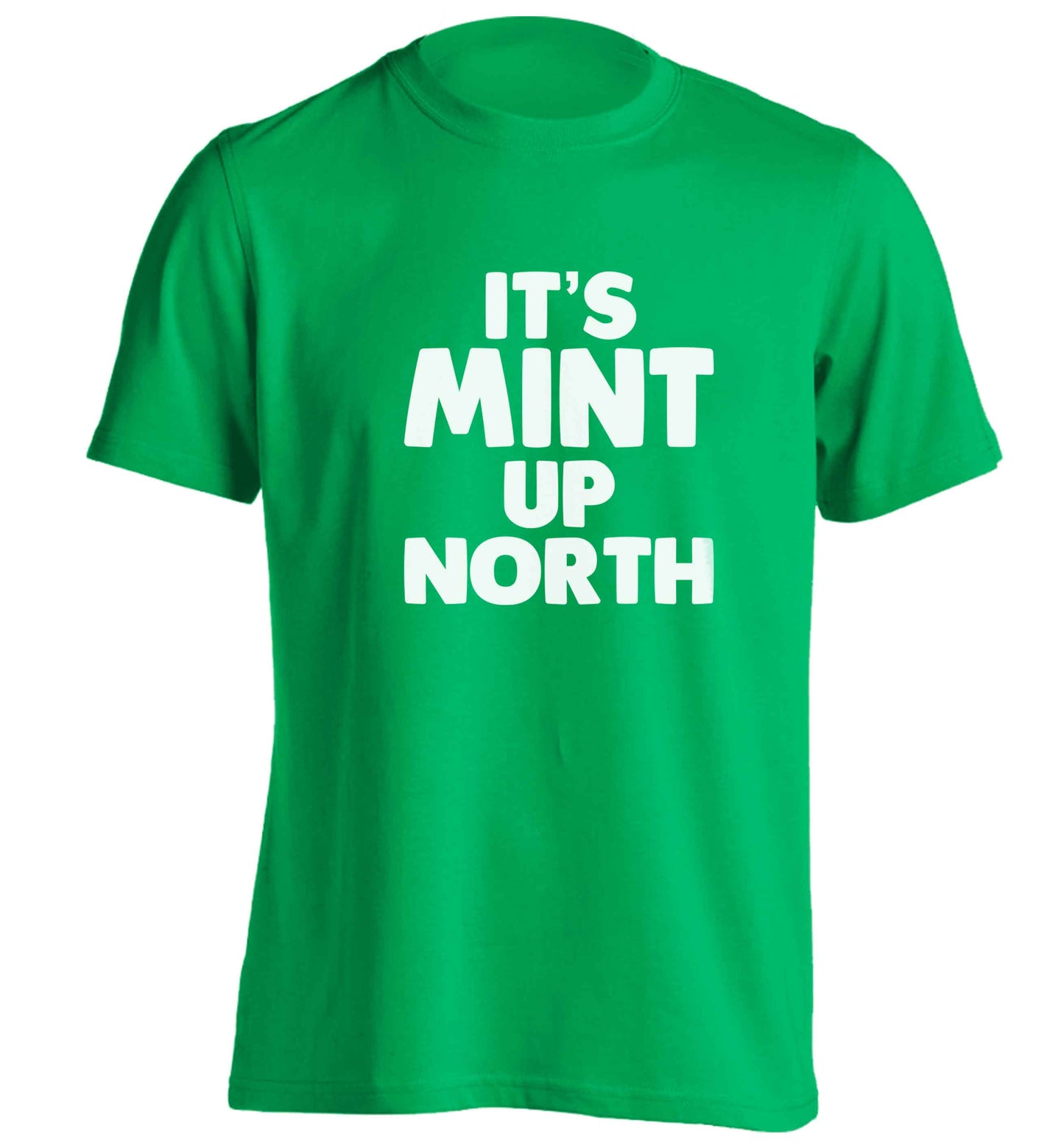 It's mint up North adults unisex green Tshirt 2XL
