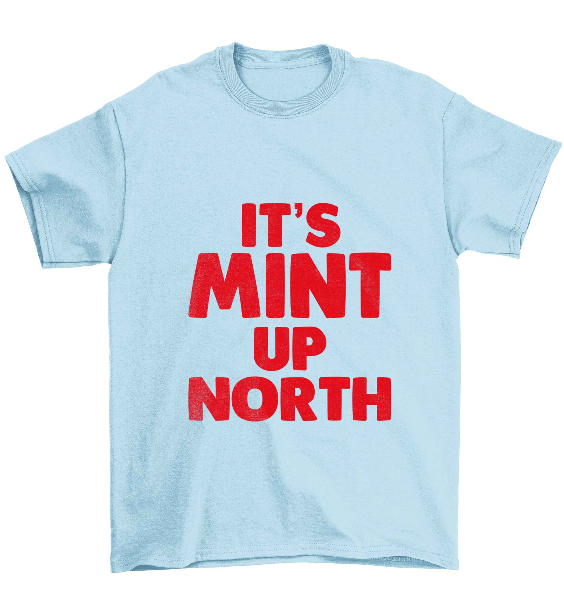 It's mint up North Children's light blue Tshirt 12-13 Years