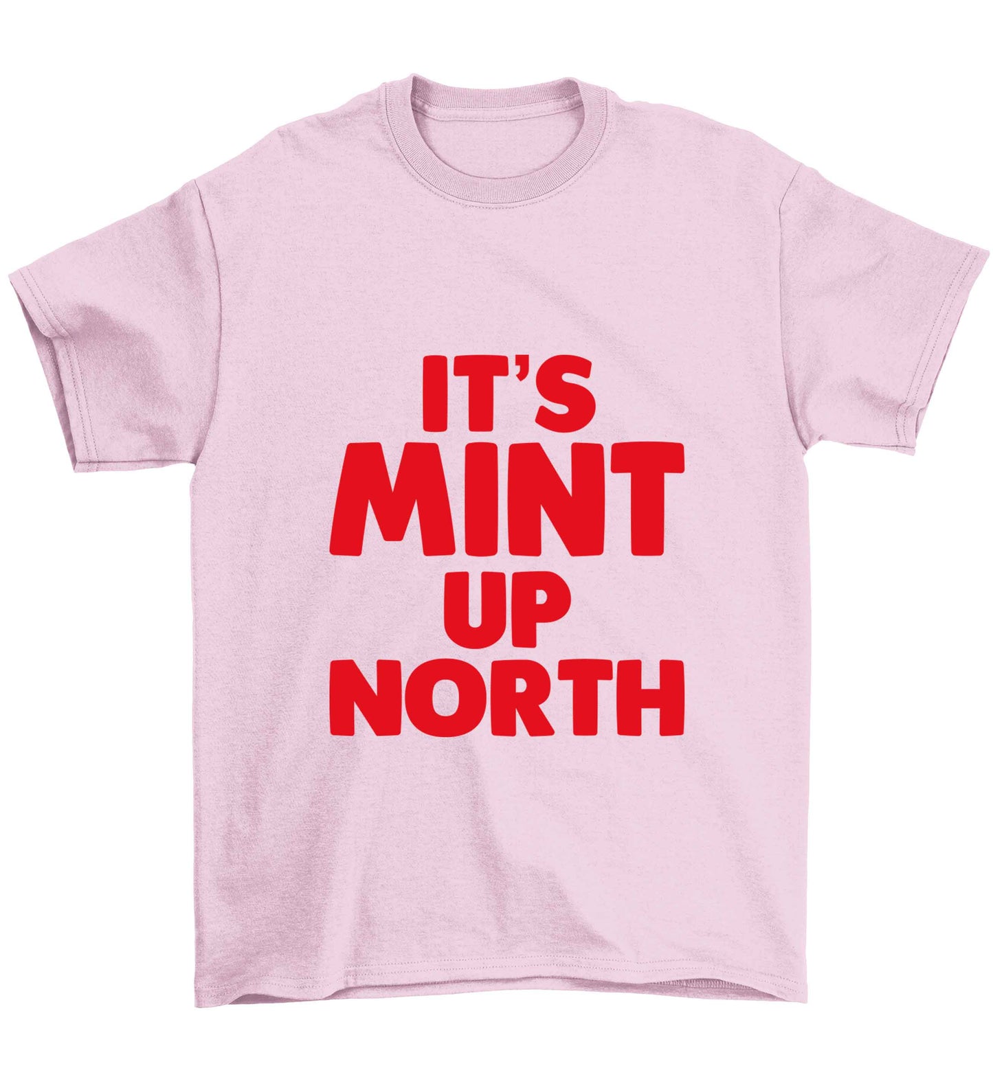 It's mint up North Children's light pink Tshirt 12-13 Years