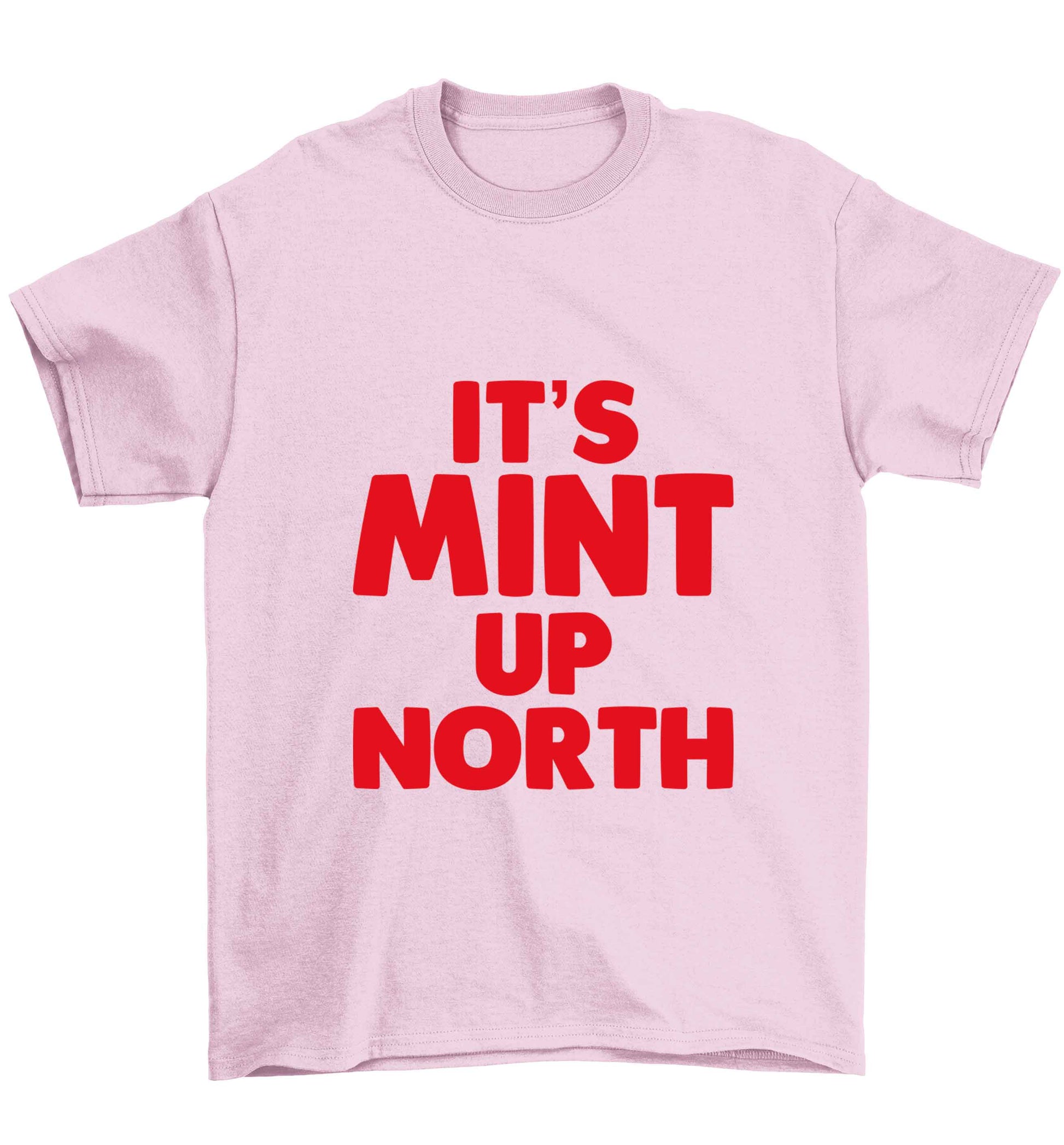 It's mint up North Children's light pink Tshirt 12-13 Years