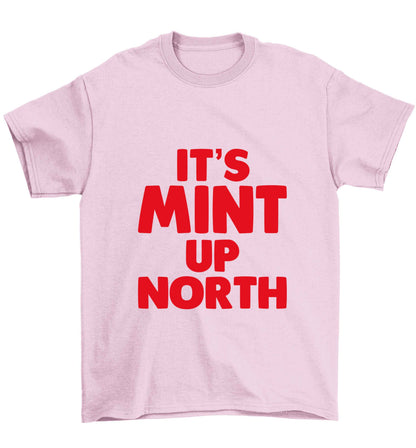 It's mint up North Children's light pink Tshirt 12-13 Years