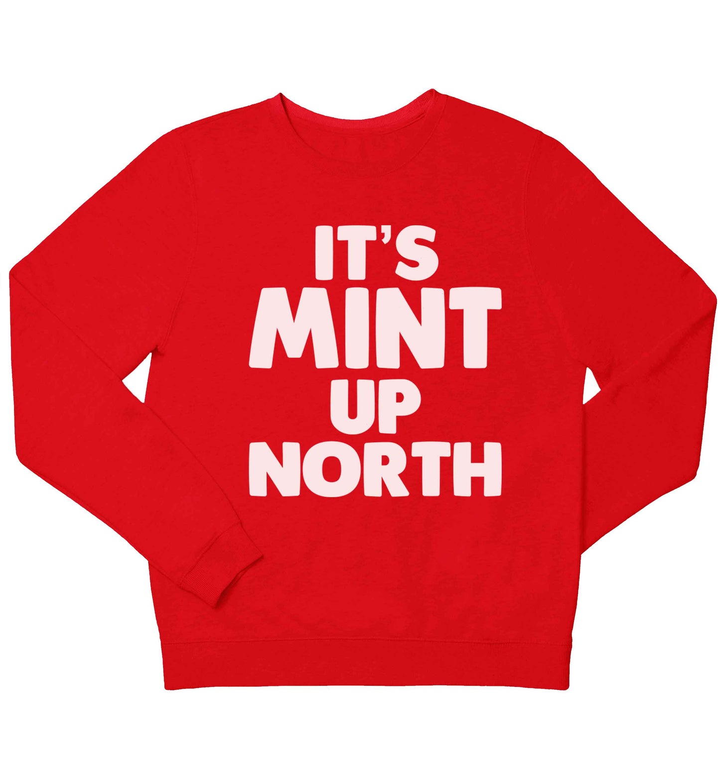 It's mint up North children's grey sweater 12-13 Years