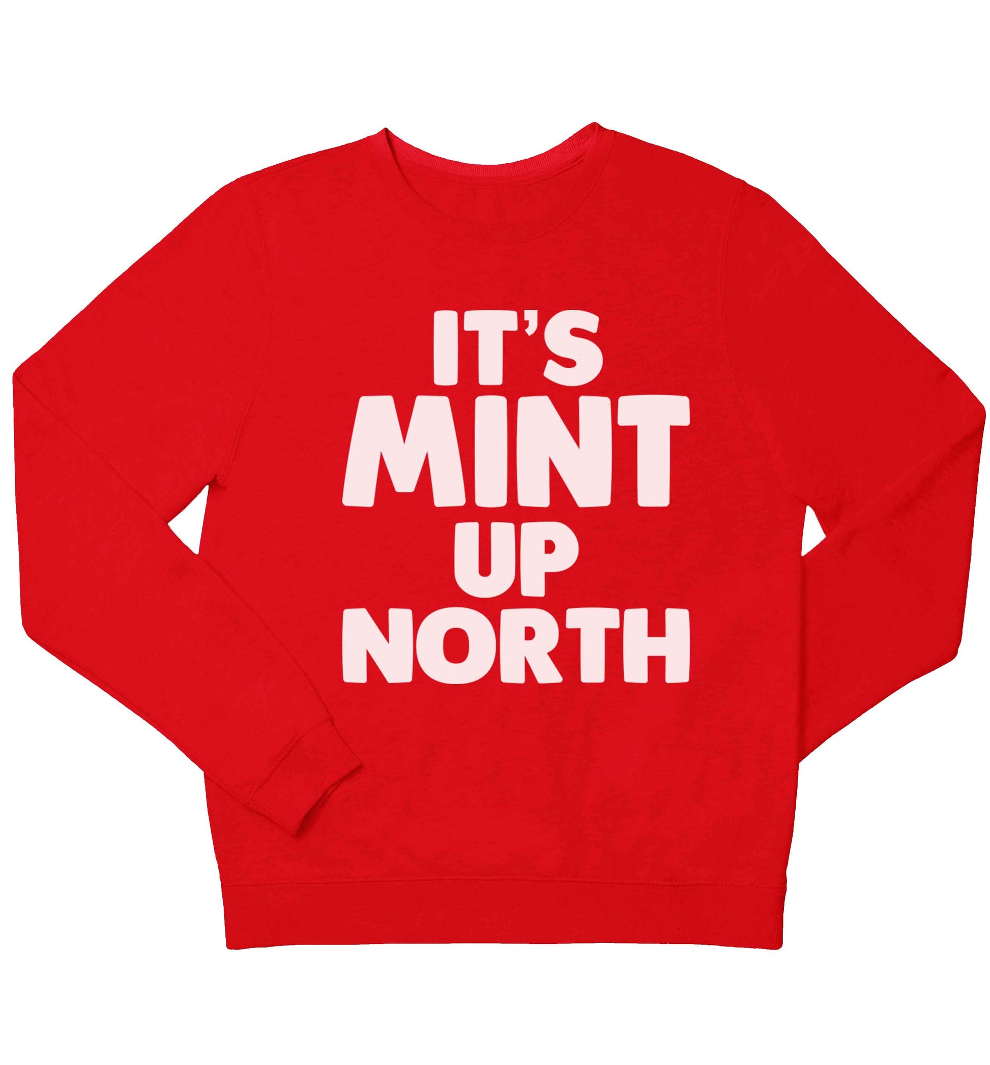 It's mint up North children's grey sweater 12-13 Years