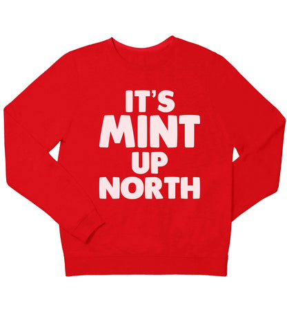 It's mint up North children's grey sweater 12-13 Years