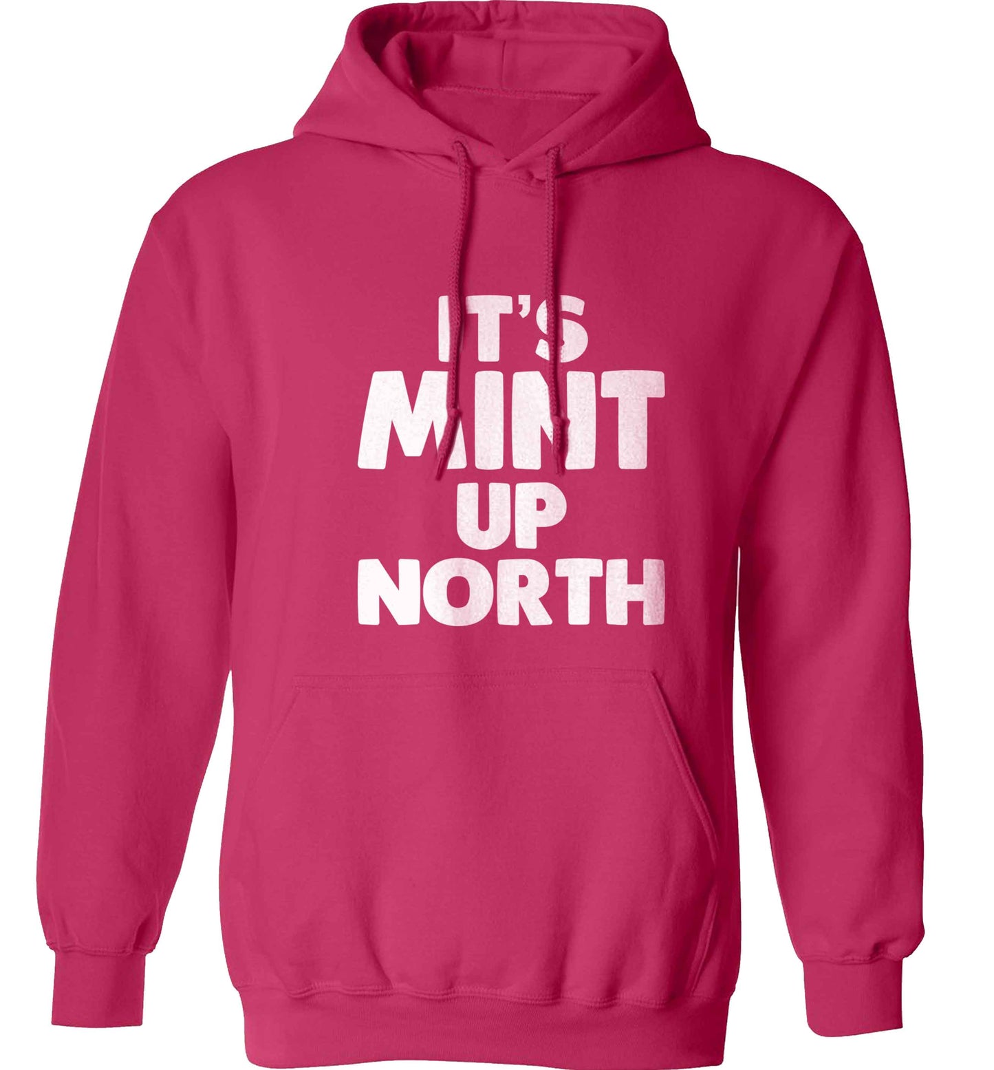 It's mint up North adults unisex pink hoodie 2XL