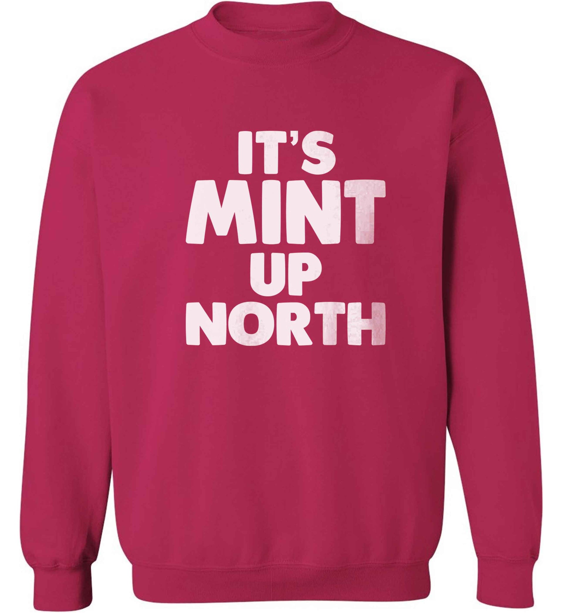 It's mint up North adult's unisex pink sweater 2XL