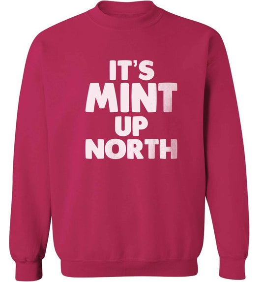 It's mint up North adult's unisex pink sweater 2XL