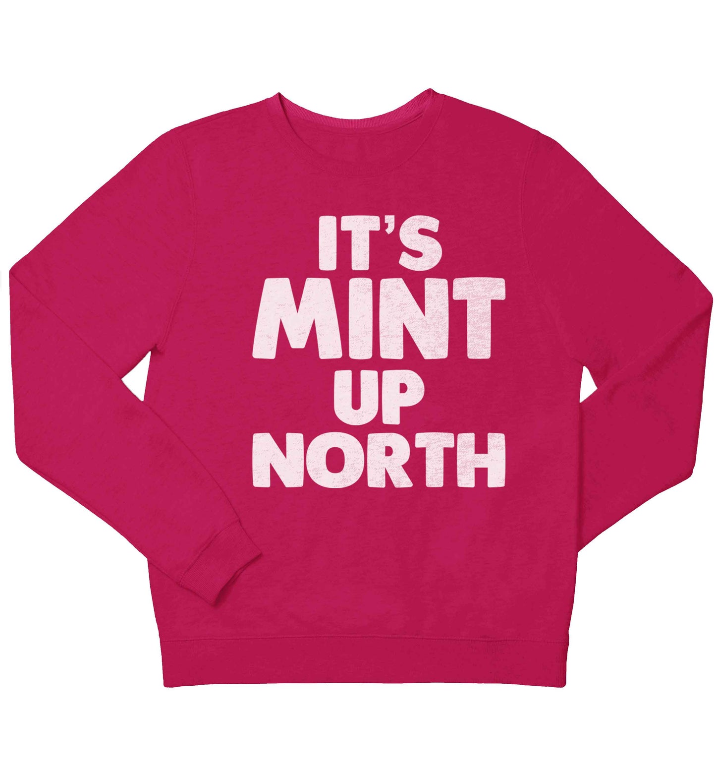 It's mint up North children's pink sweater 12-13 Years