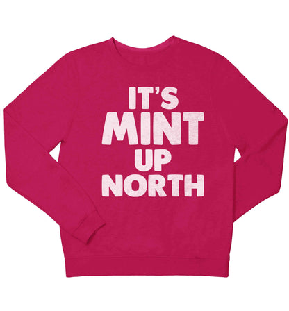 It's mint up North children's pink sweater 12-13 Years