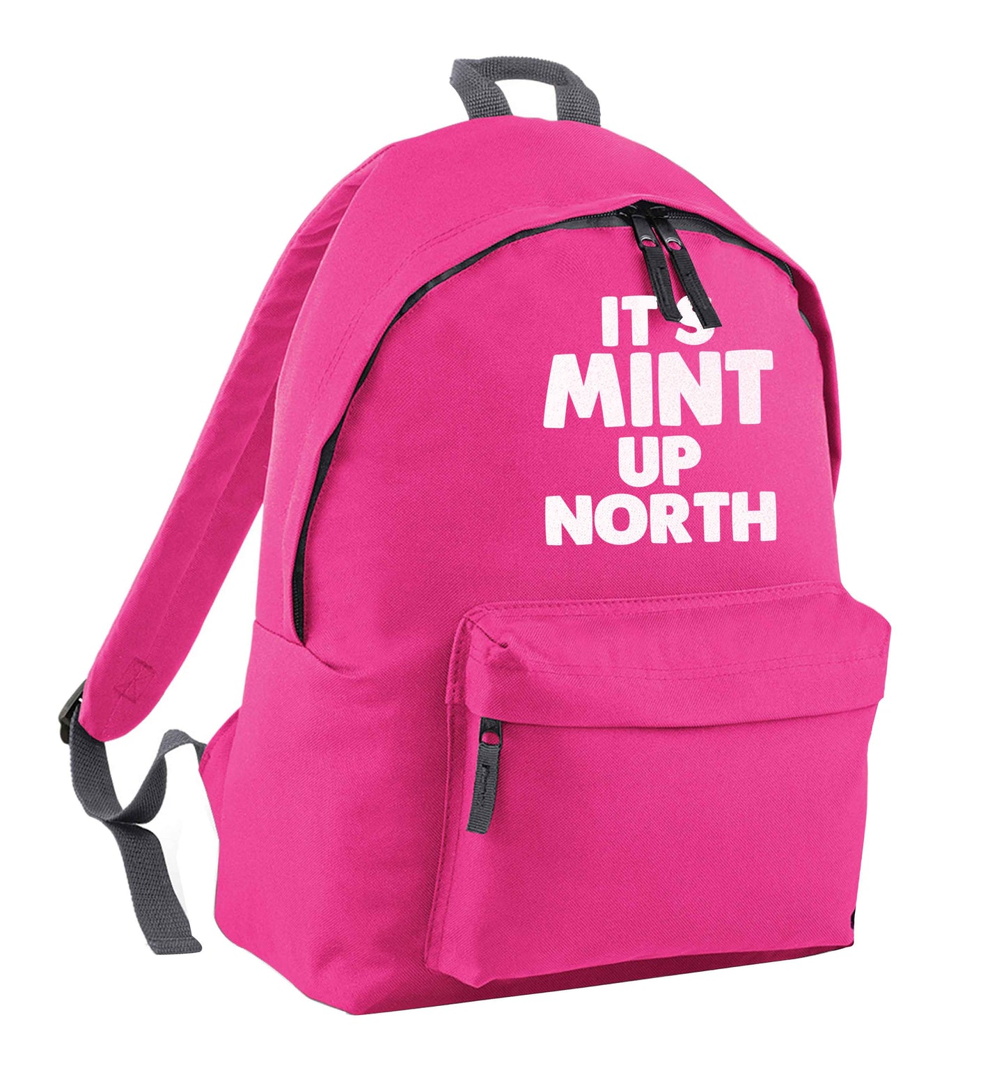 It's mint up North pink adults backpack