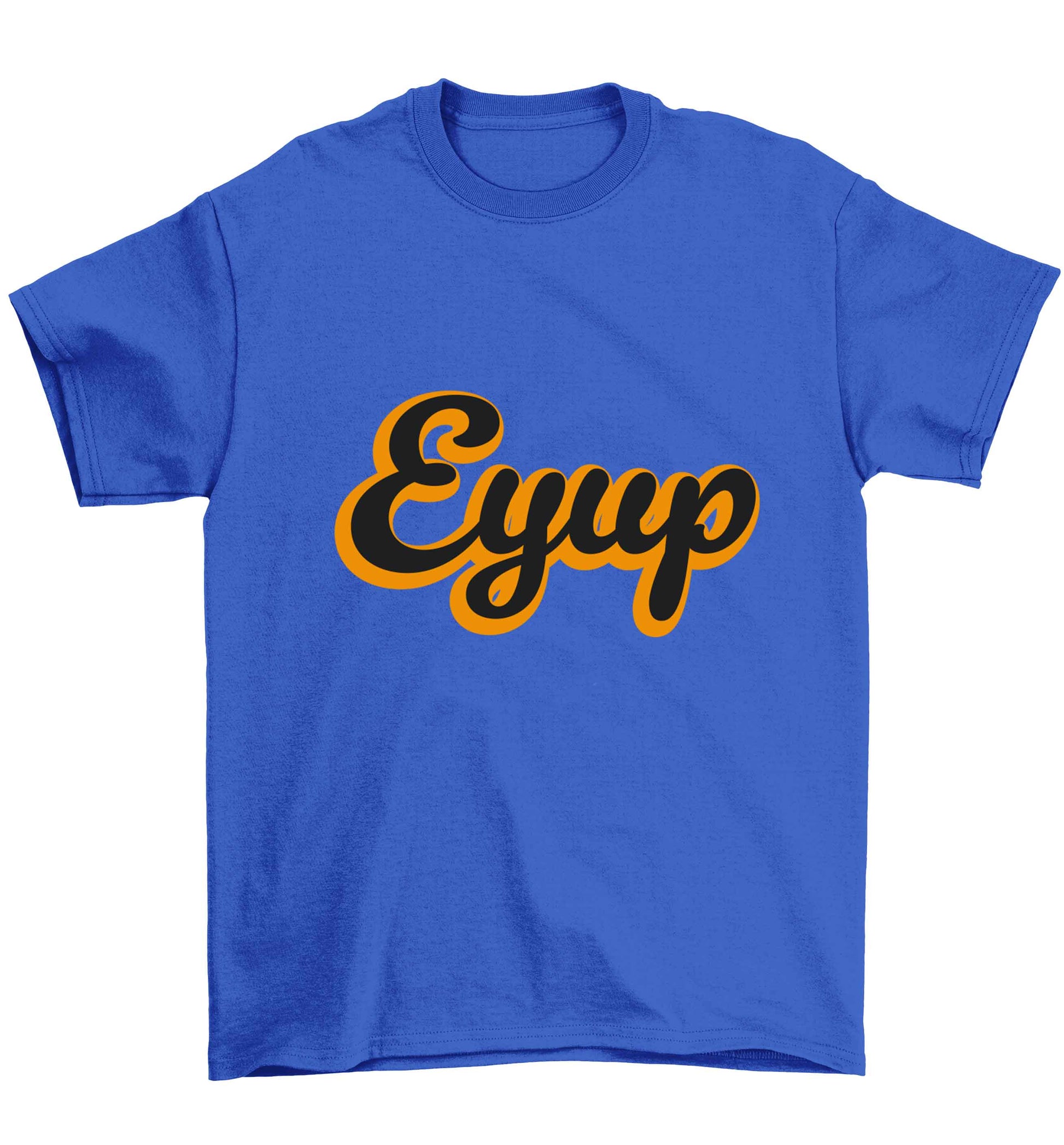 Eyup Children's blue Tshirt 12-13 Years