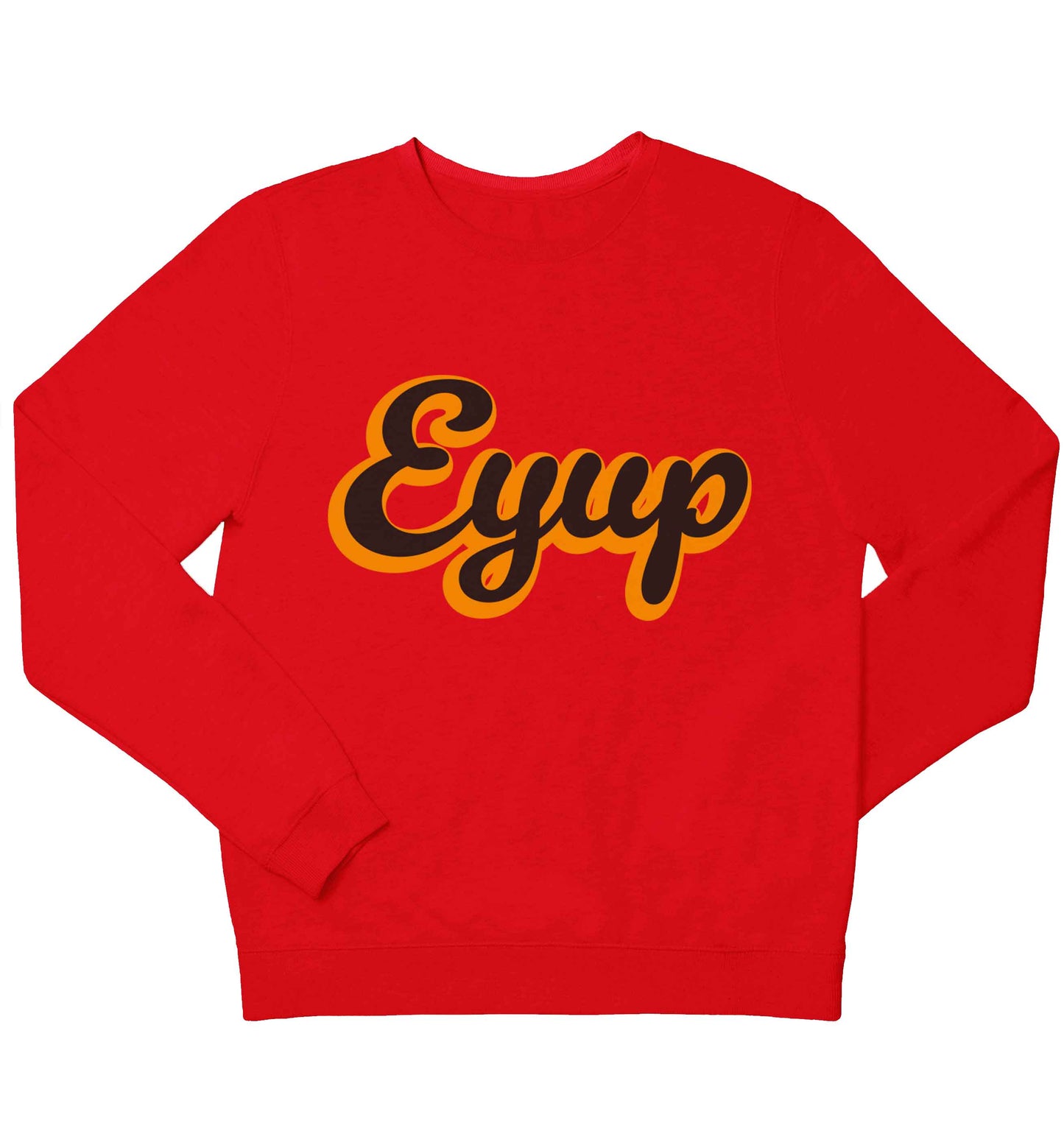 Eyup children's grey sweater 12-13 Years