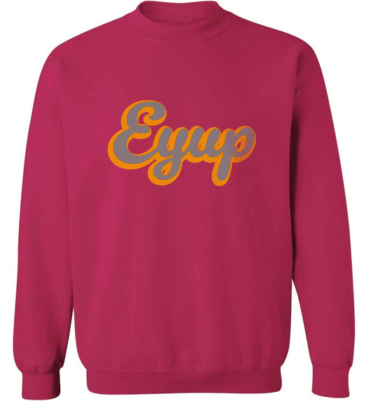 Eyup adult's unisex pink sweater 2XL