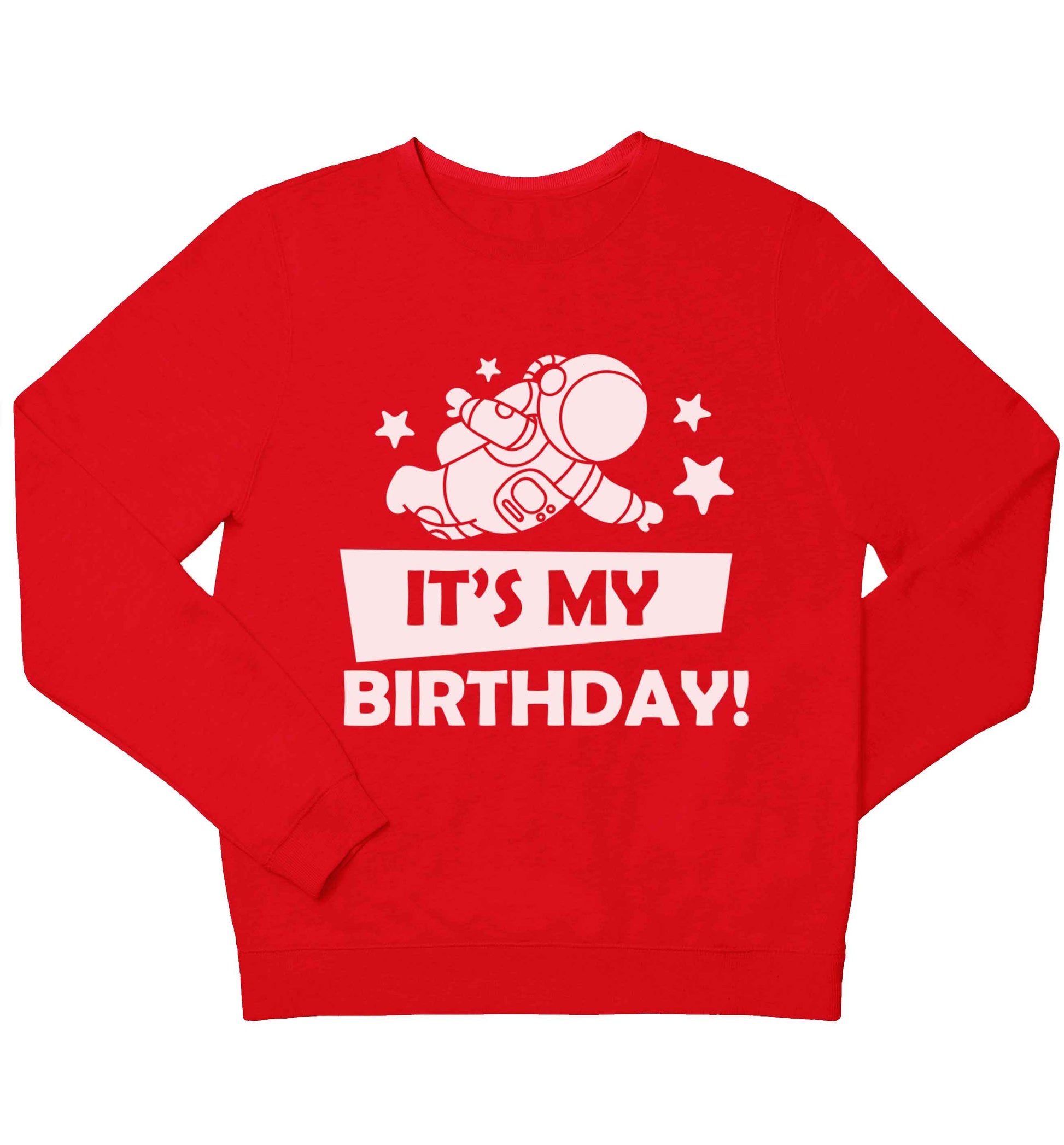 It's my birthday children's grey sweater 12-13 Years