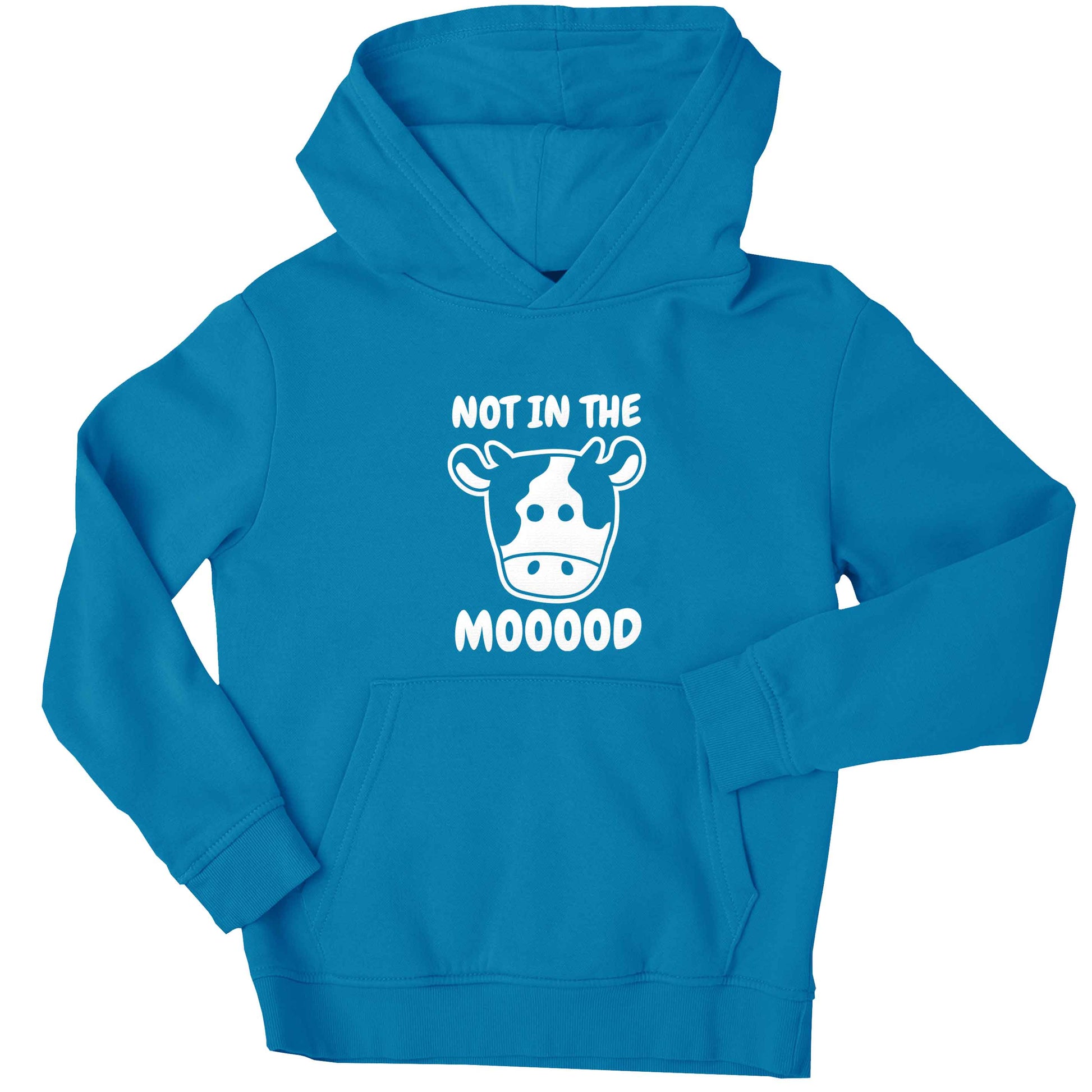 Not in the mood children's blue hoodie 12-13 Years
