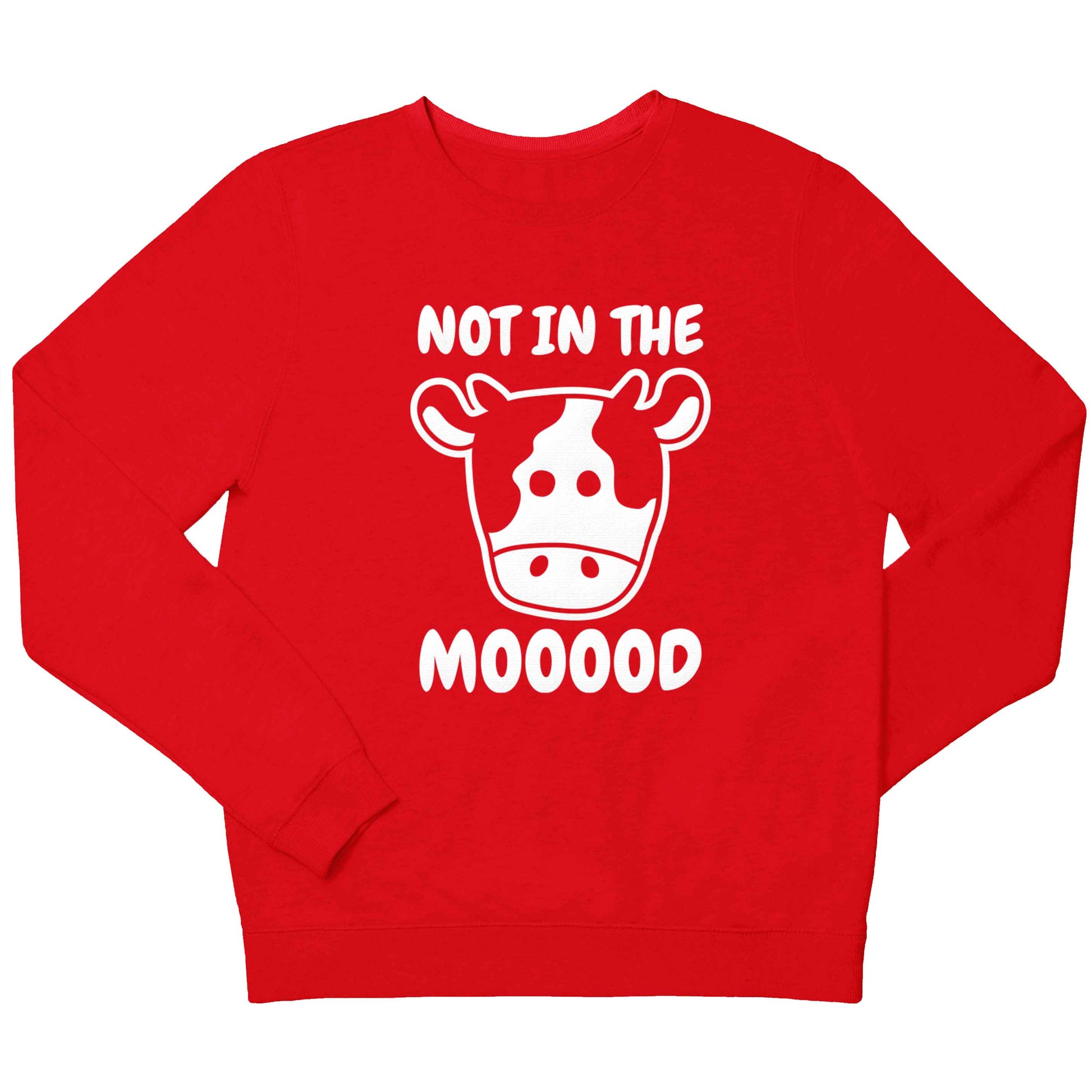 Not in the mood children's grey sweater 12-13 Years